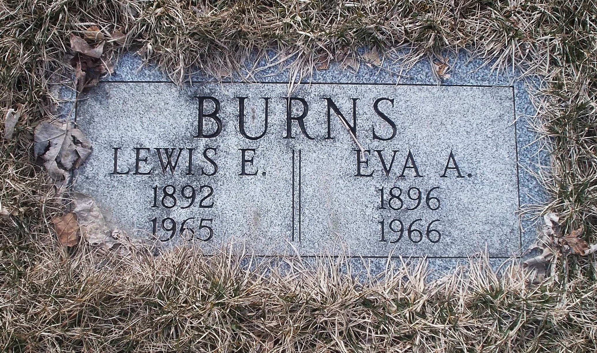 Eva A Burns