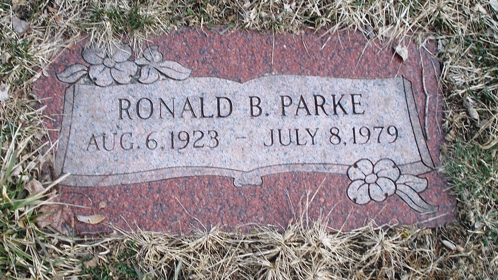 Ronald B Parke