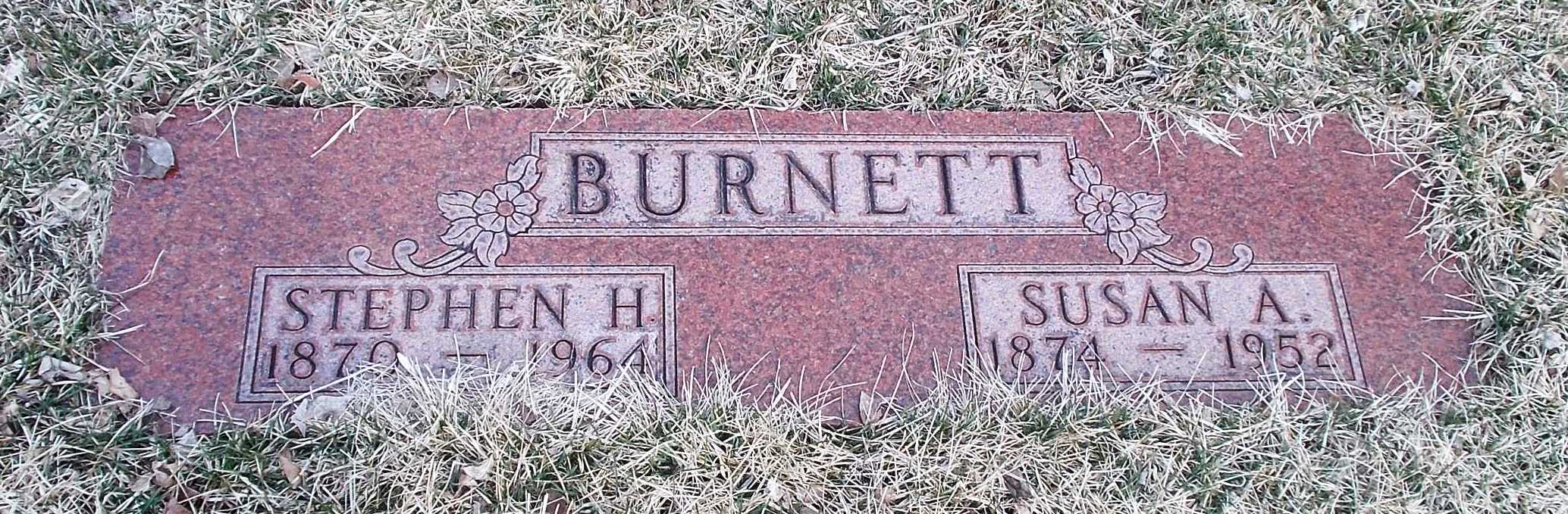 Stephen H Burnett