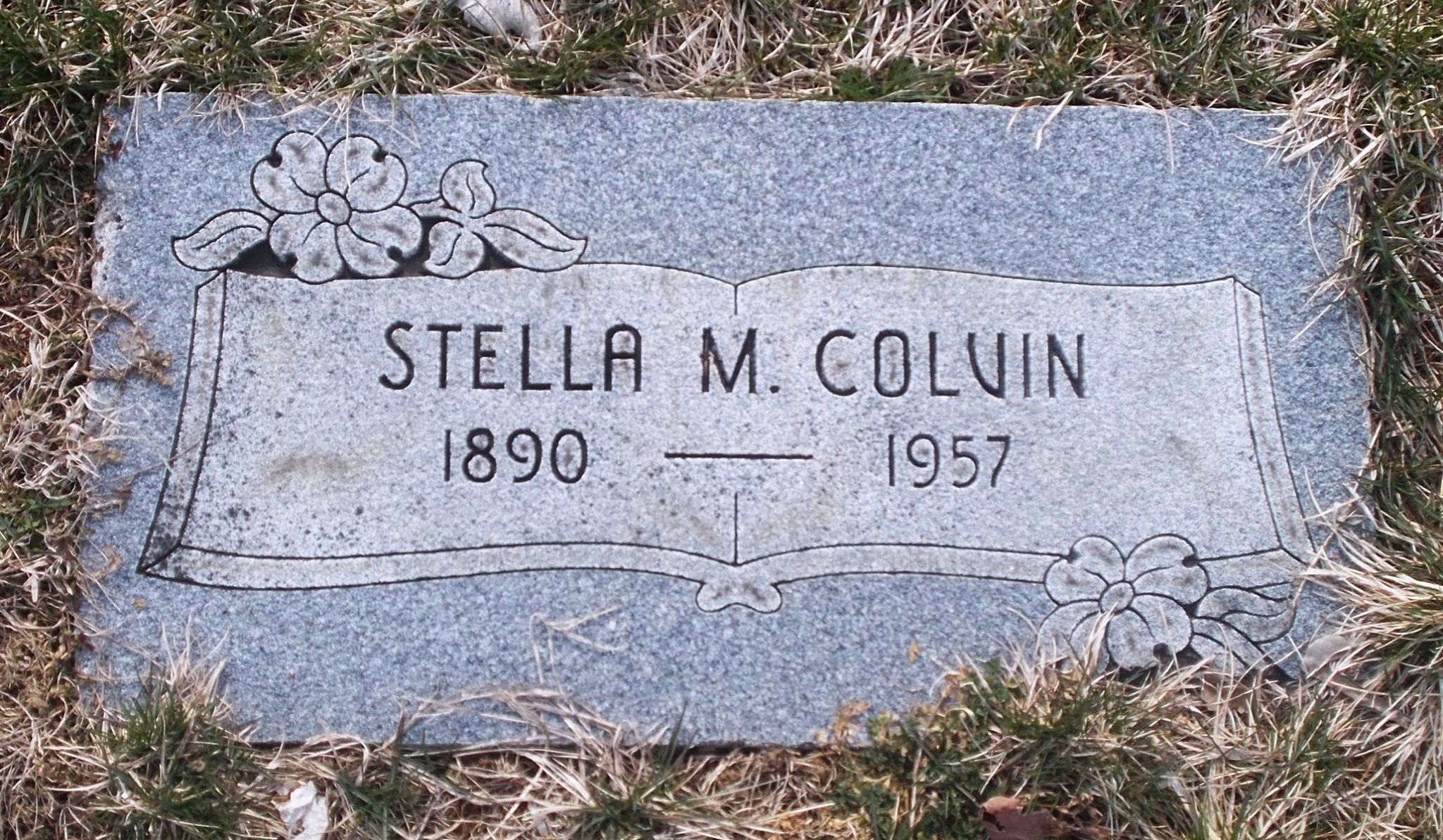 Stella M Colvin