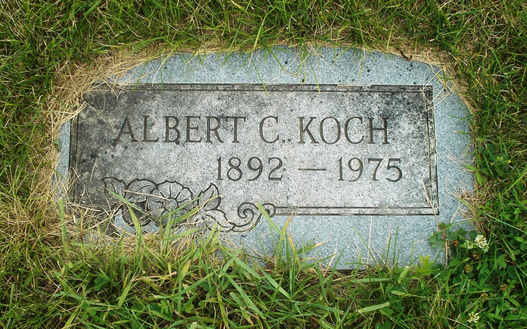 Albert C Koch