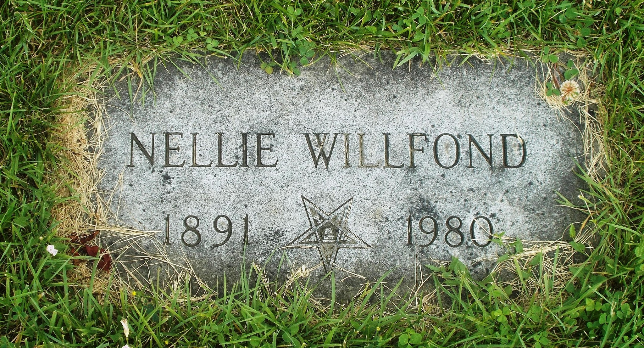 Nellie Willfond
