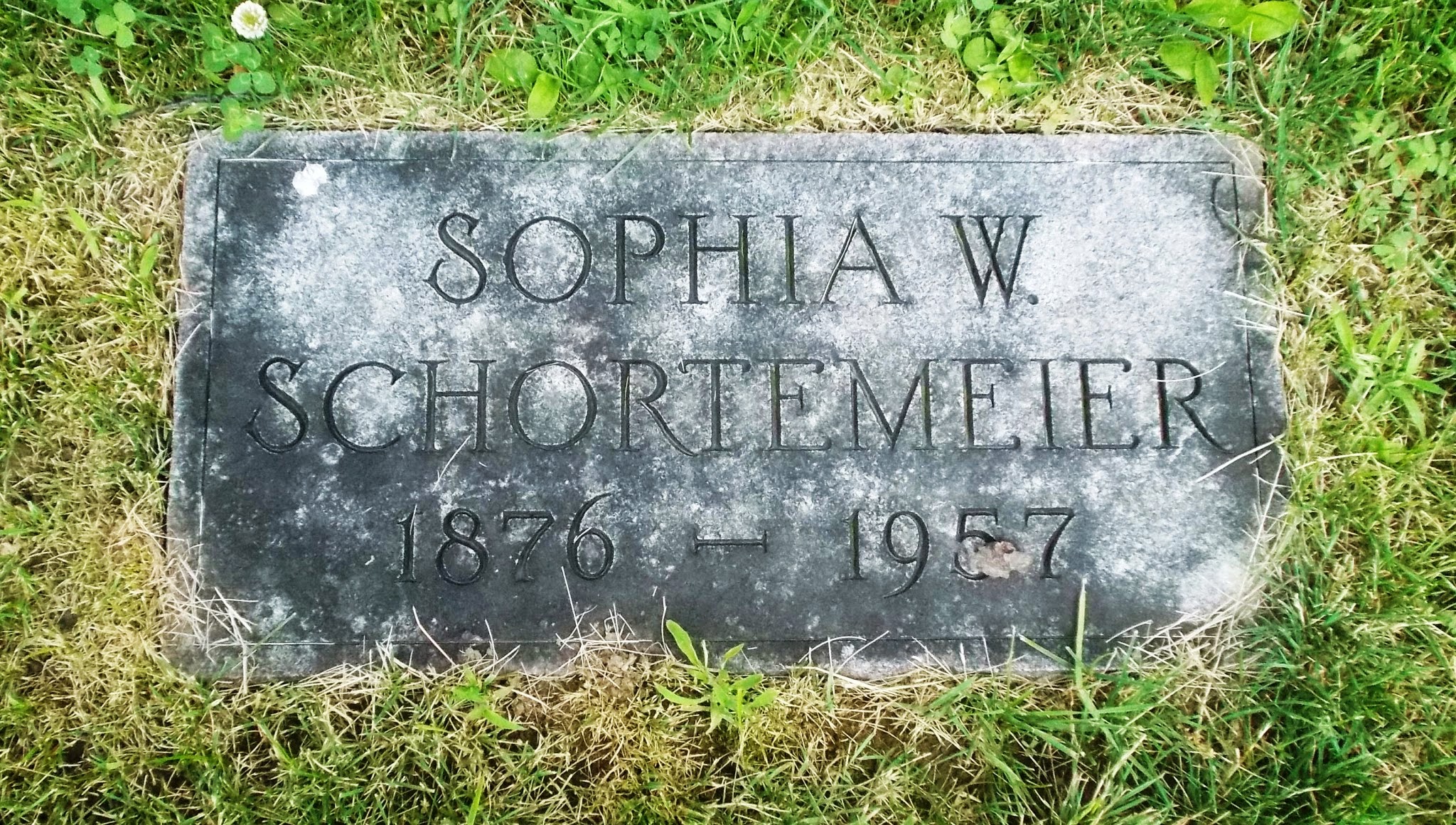 Sophia W Schortemeier