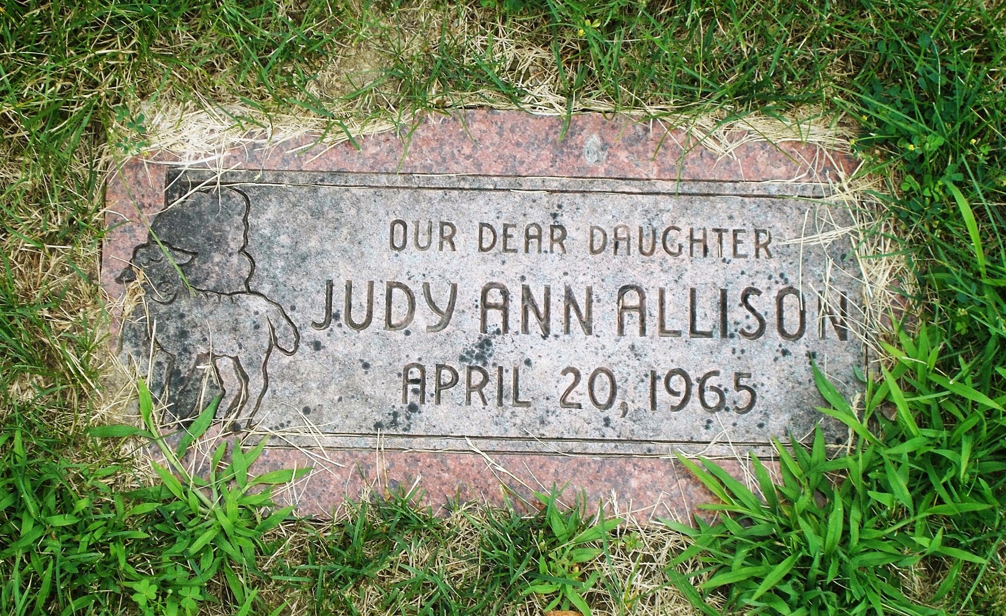 Judy Ann Allison