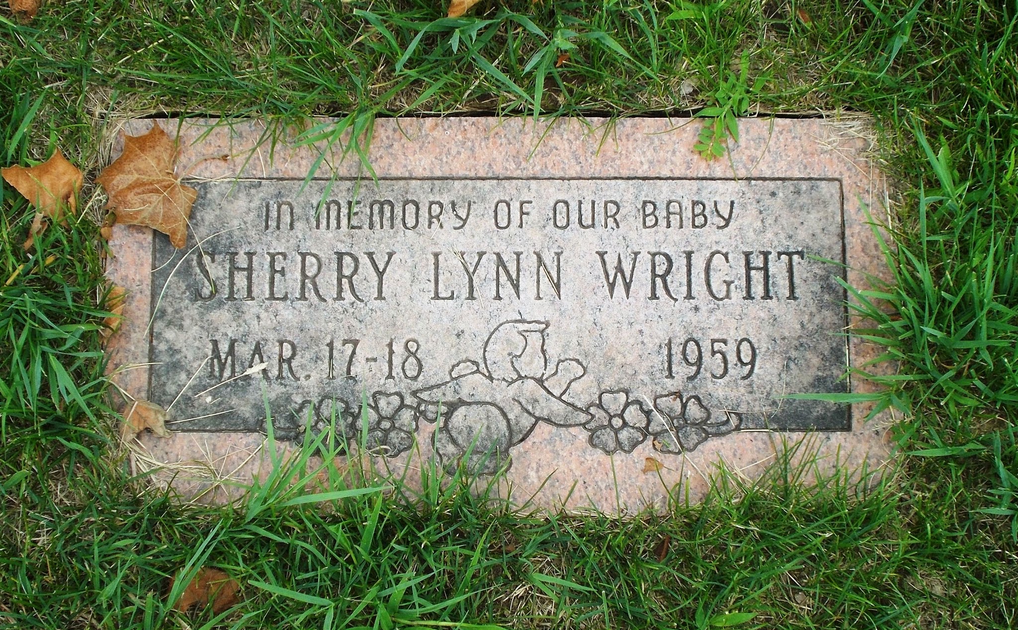 Sherry Lynn Wright