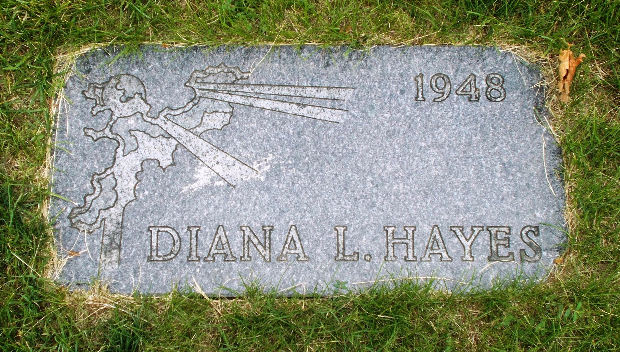 Diana L Hayes