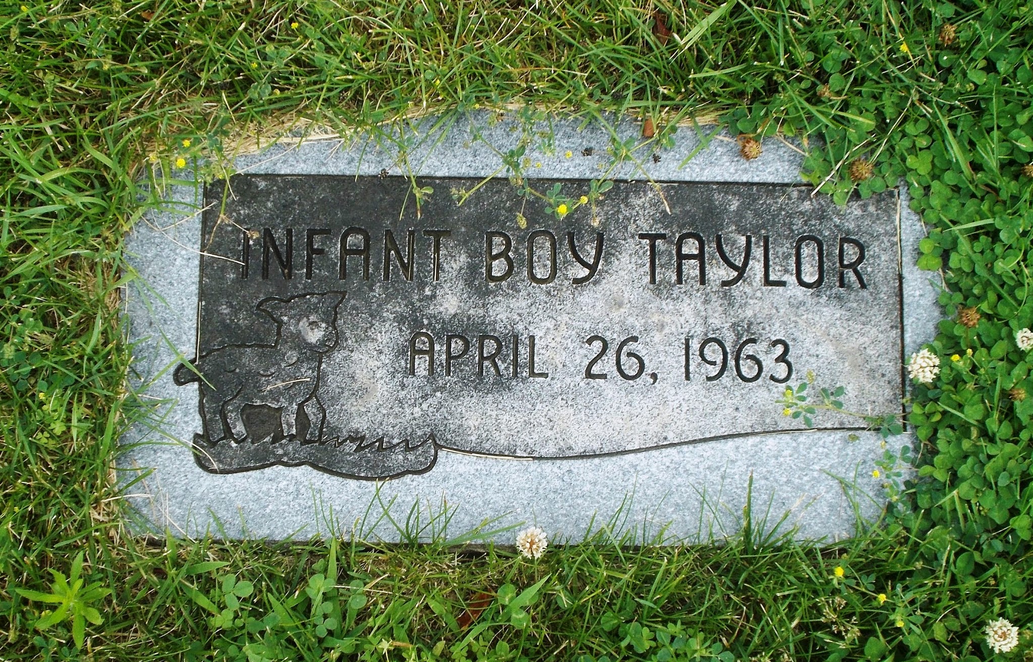 Infant Boy Taylor