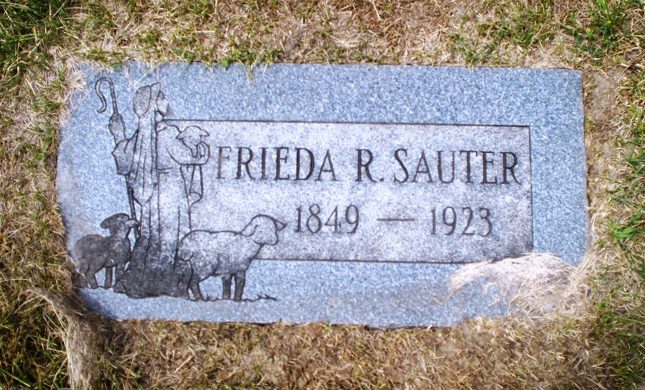 Frieda R Sauter