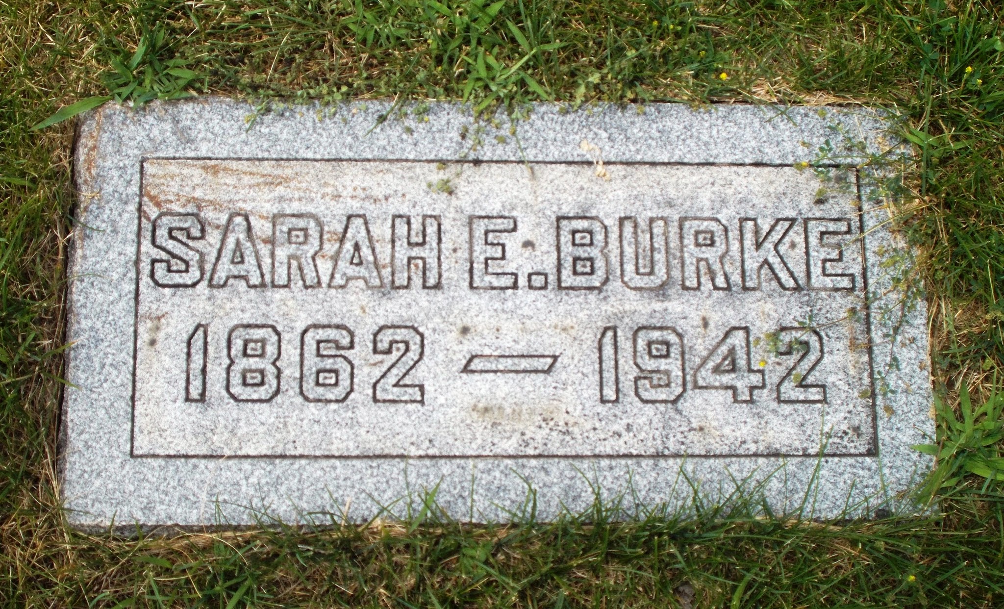 Sarah E Burke