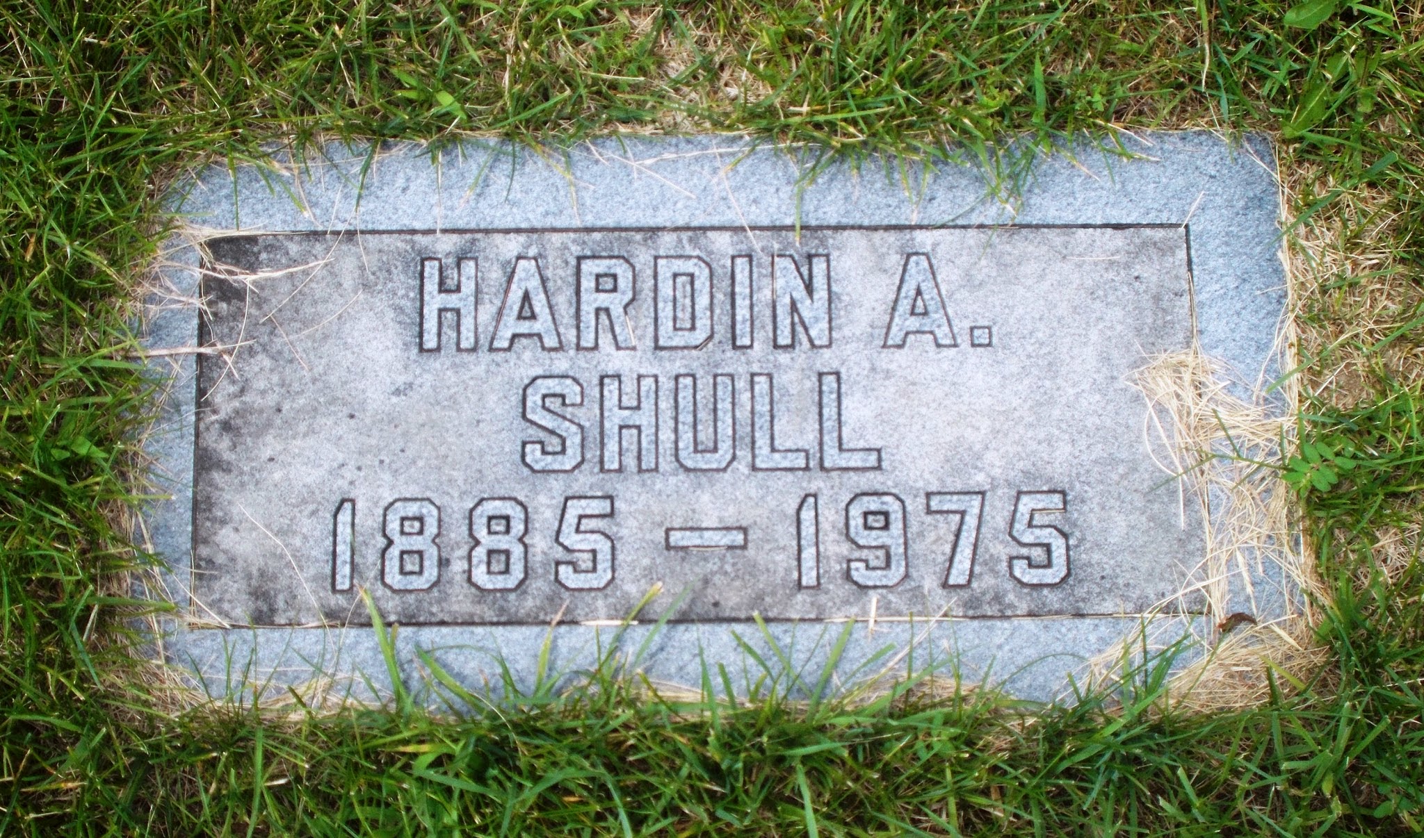 Hardin A Shull