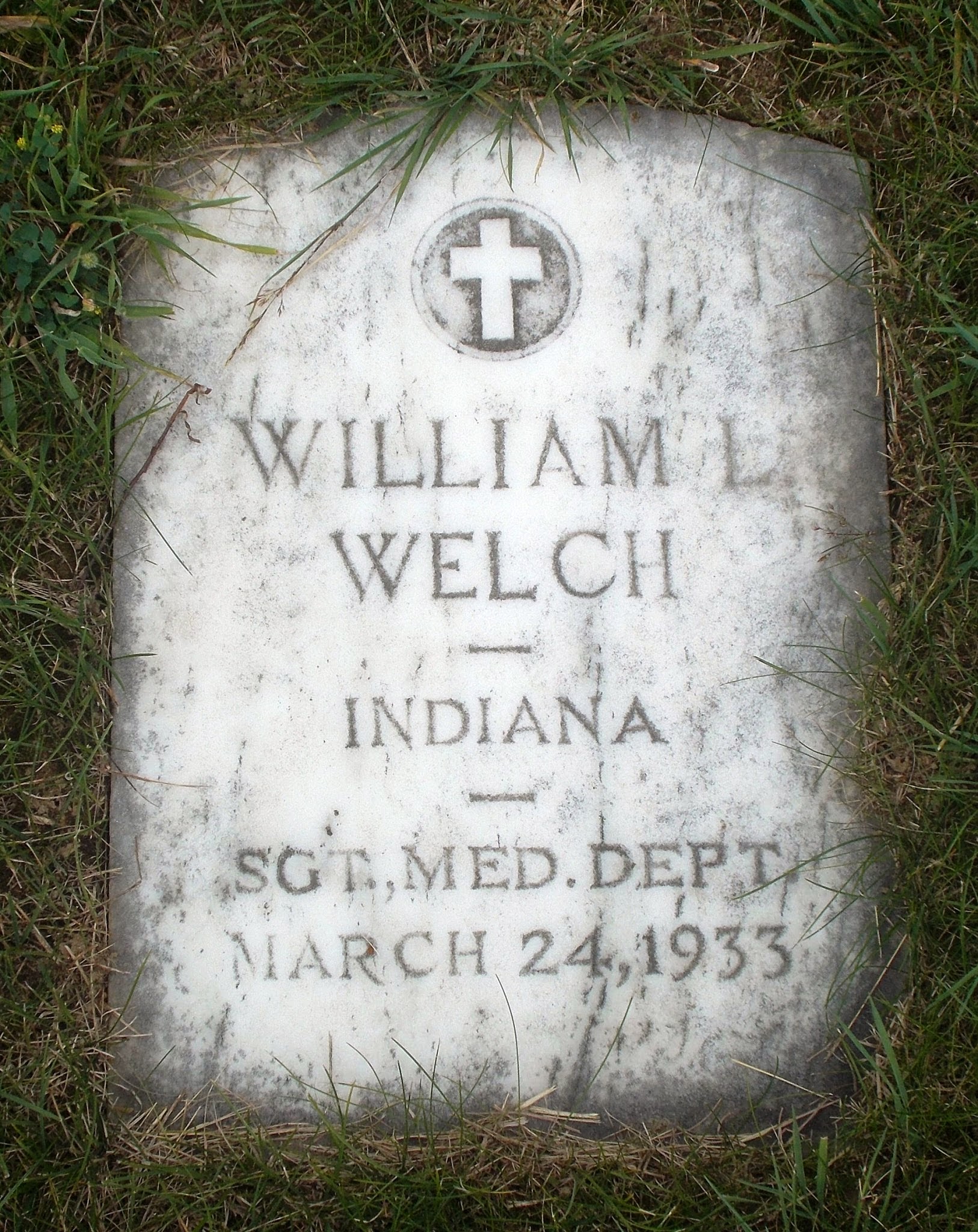 William L Welch