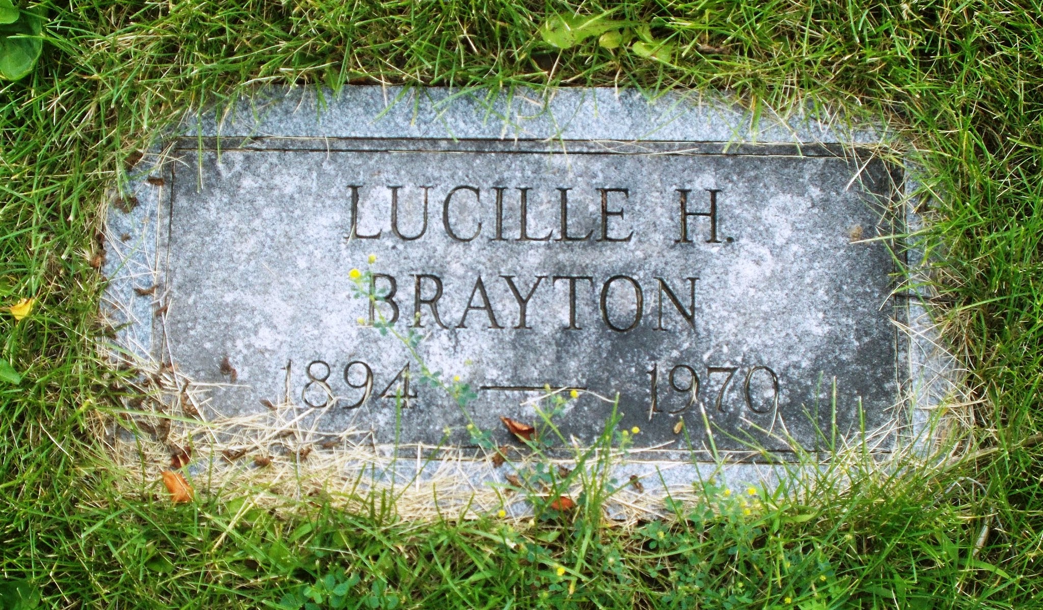 Lucille H Brayton
