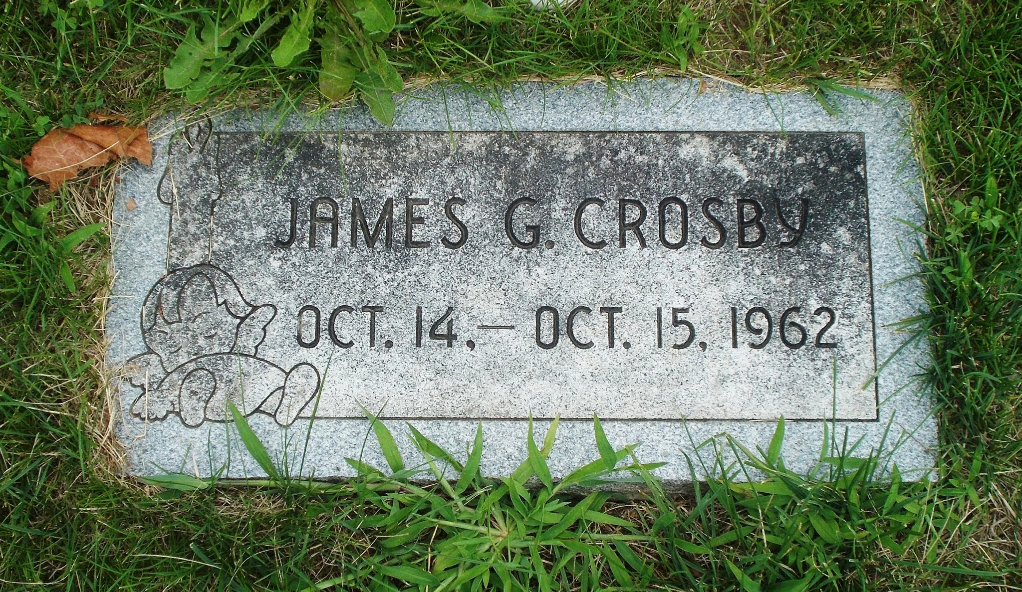 James G Crosby