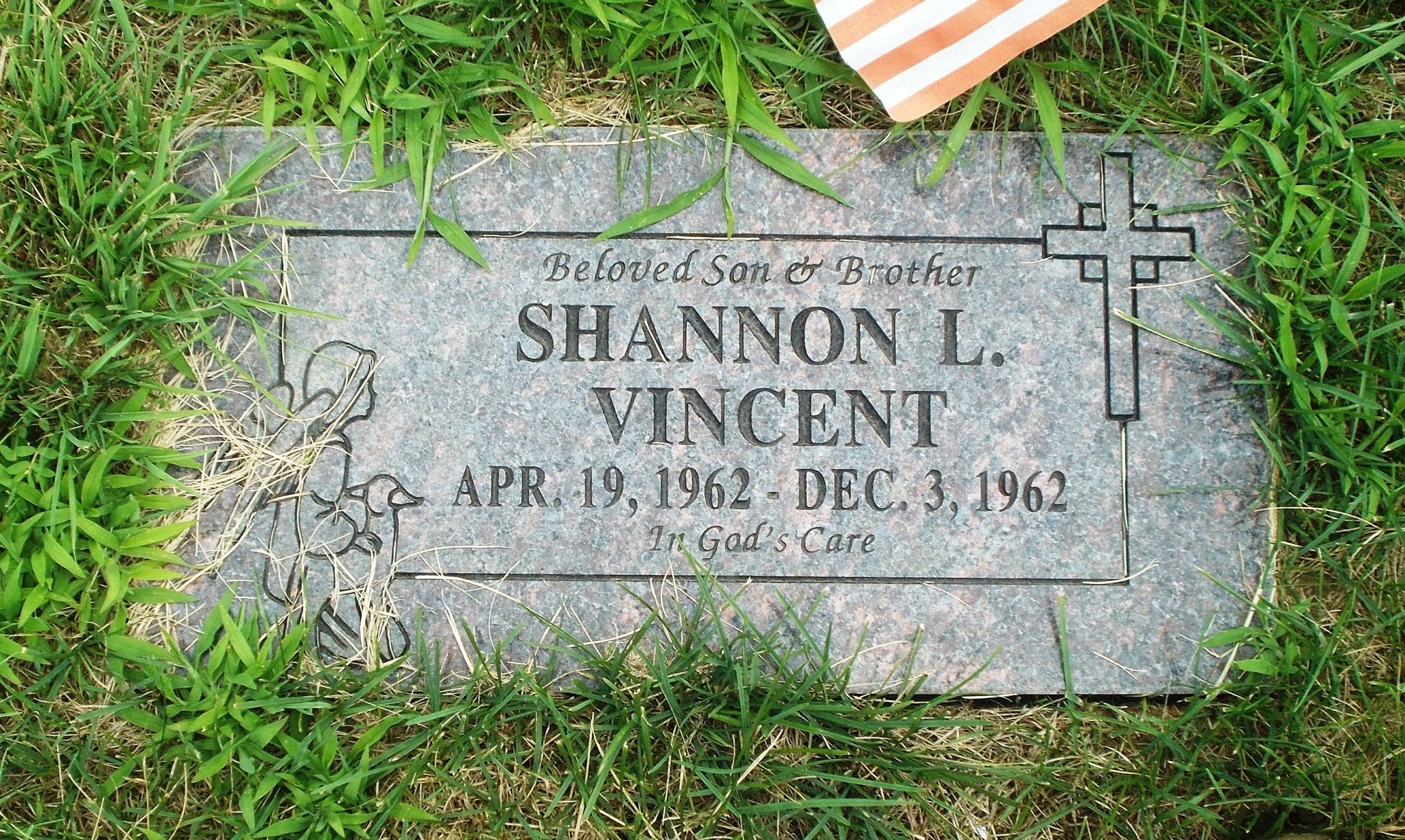 Shannon L Vincent
