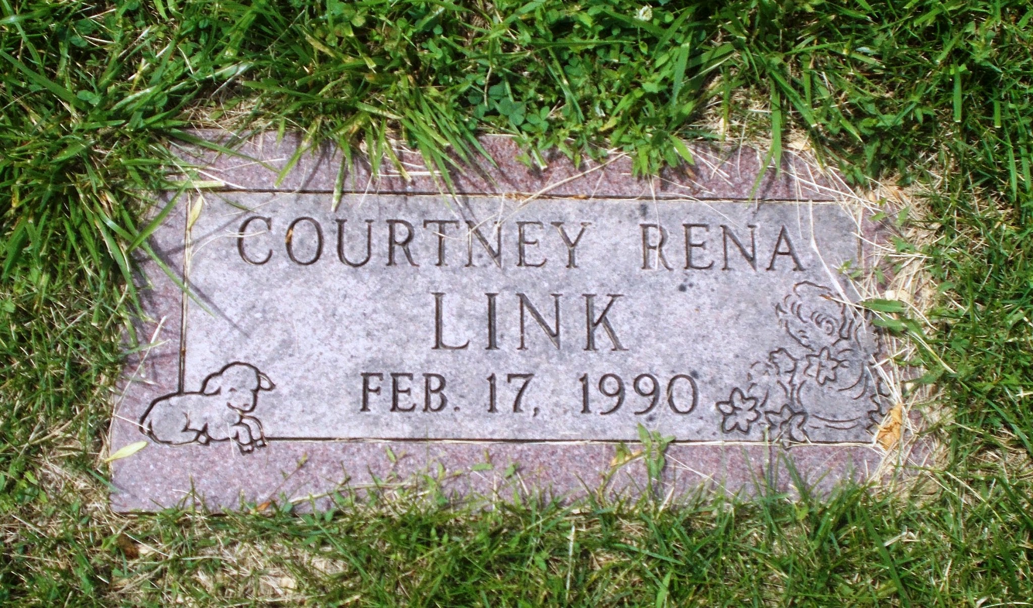 Courtney Rena Link