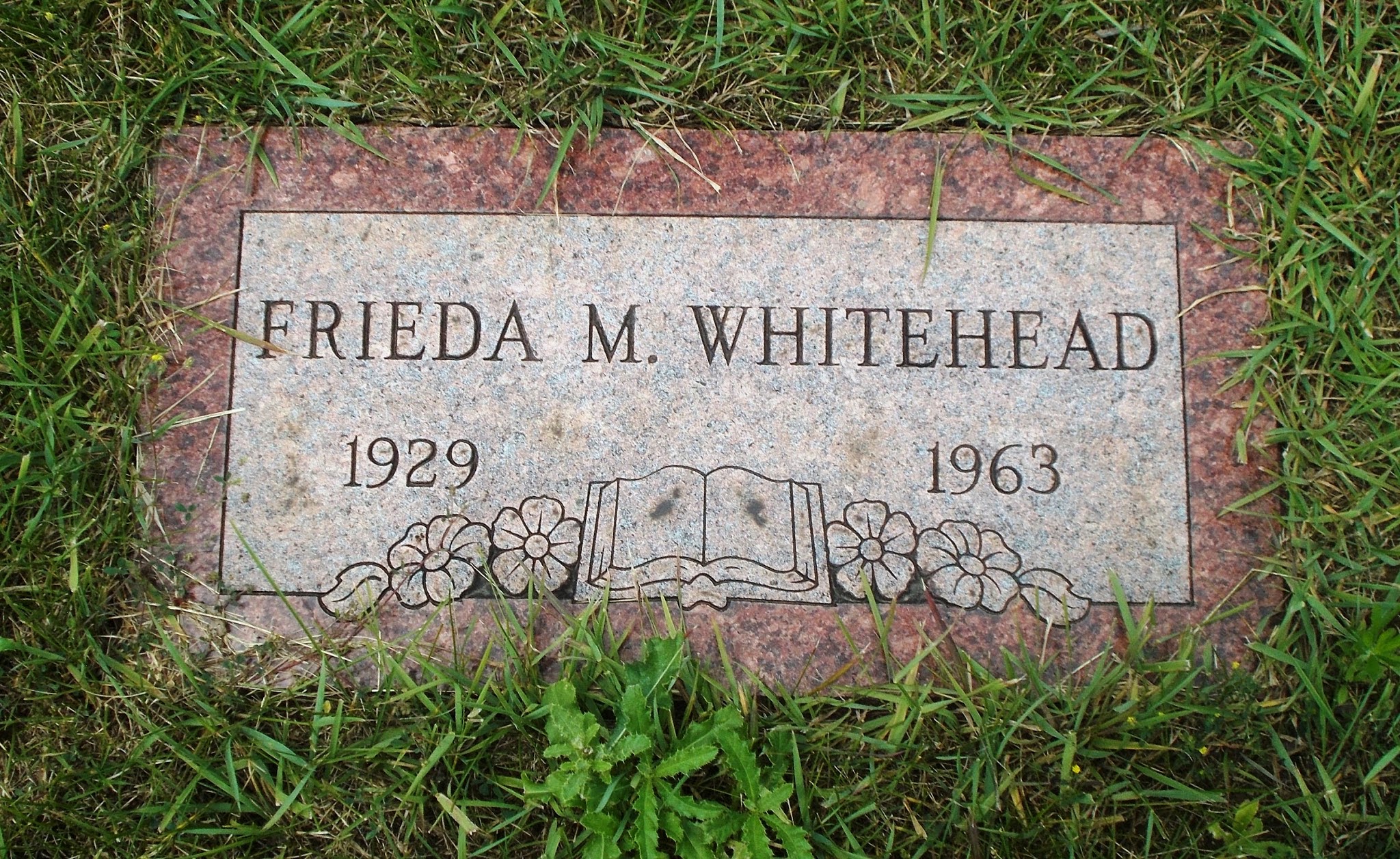 Frieda M Whitehead