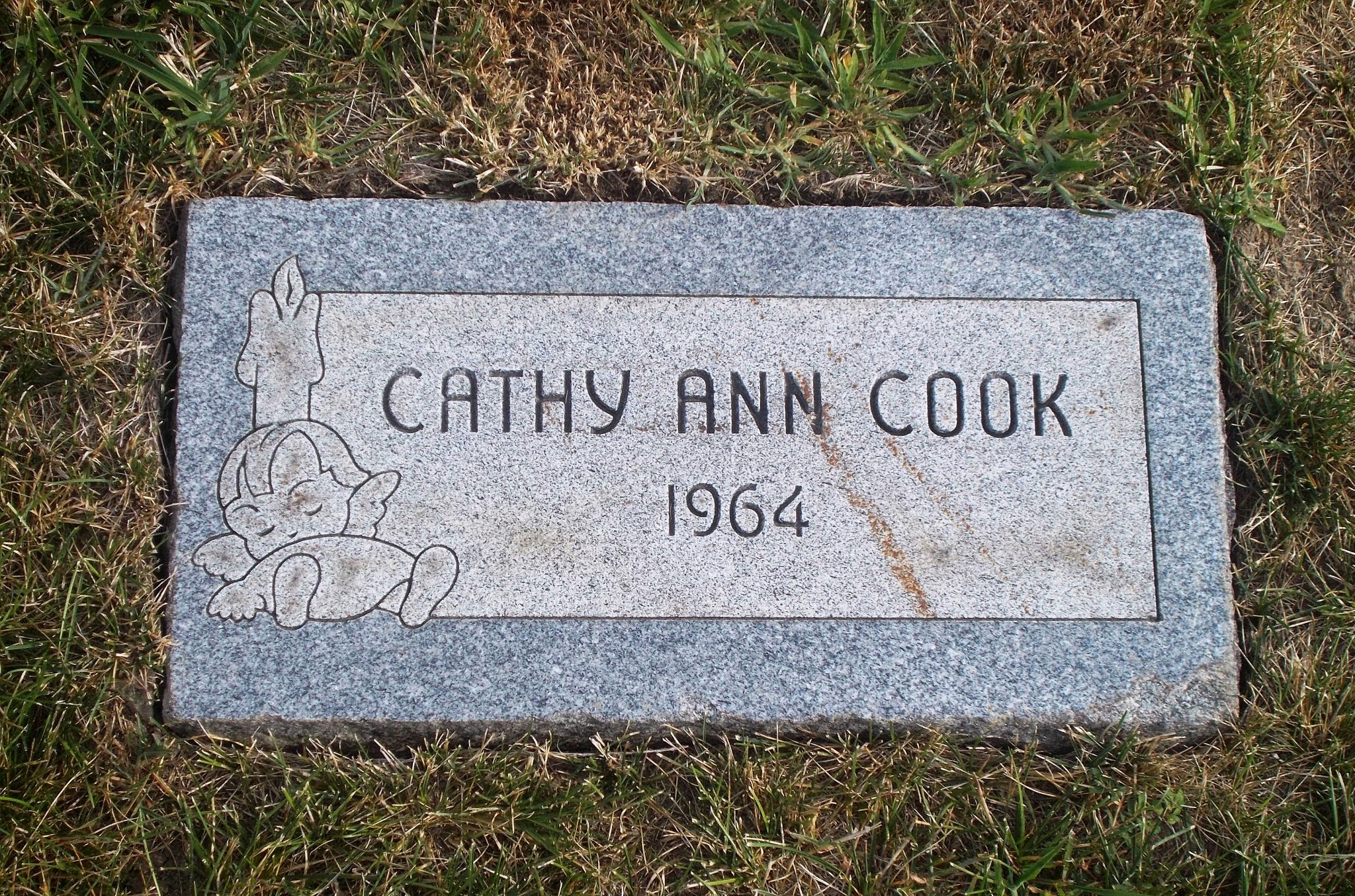 Cathy Ann Cook