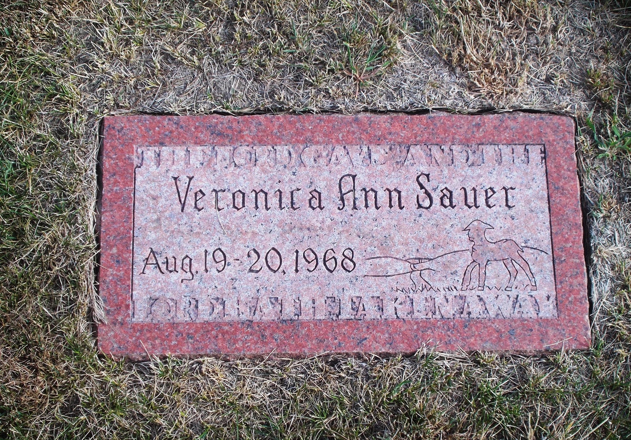 Veronica Ann Sauer