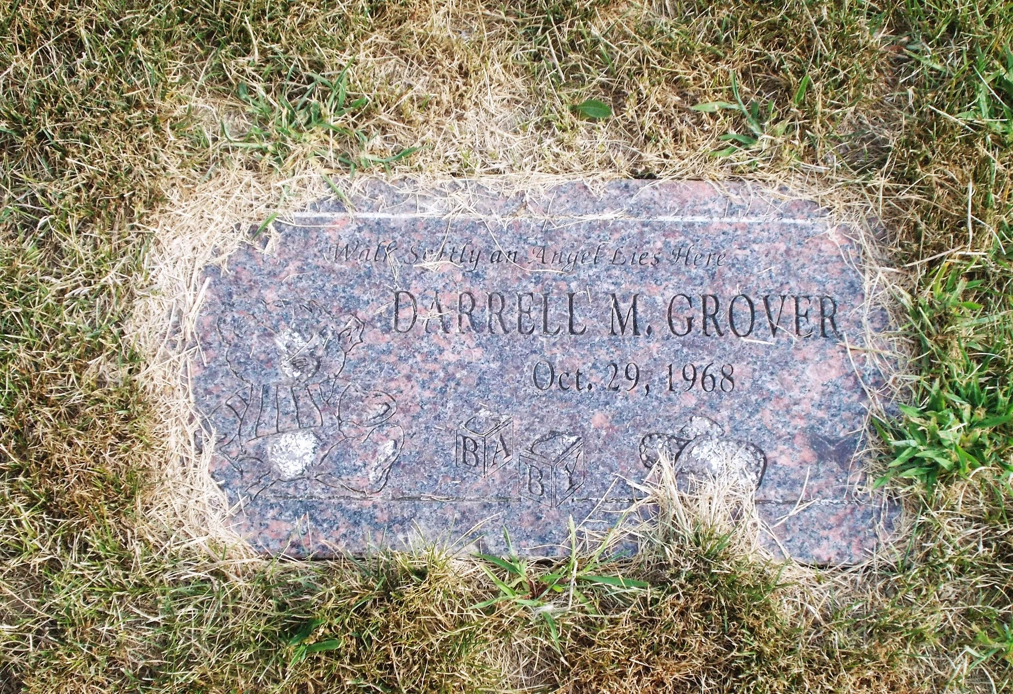 Darrell M Grover