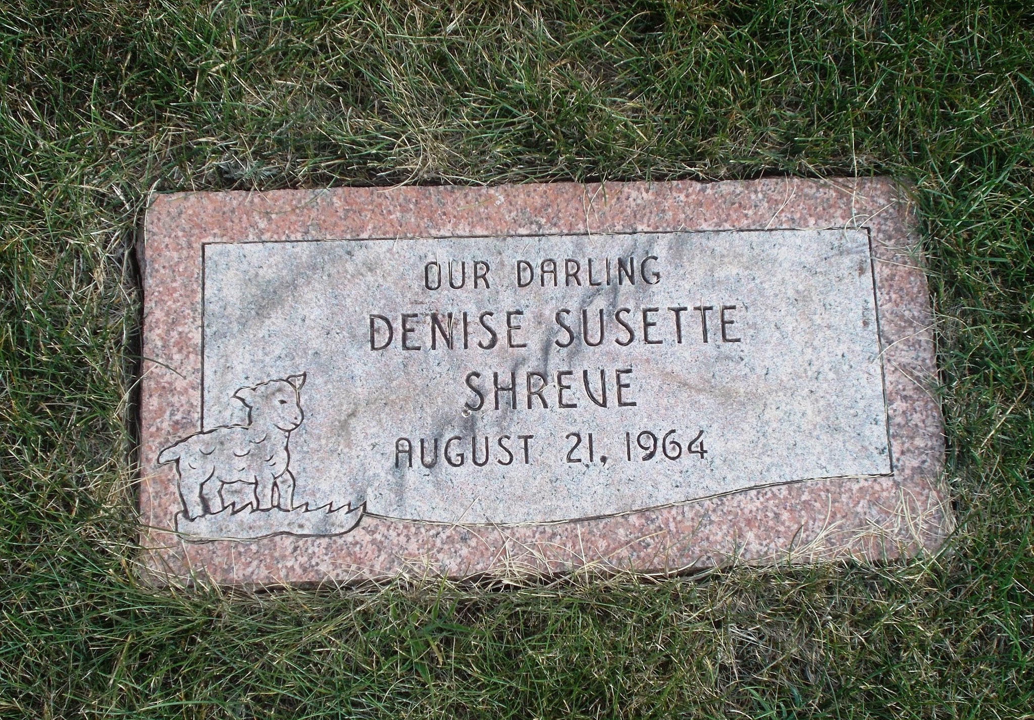 Denise Susette Shreve