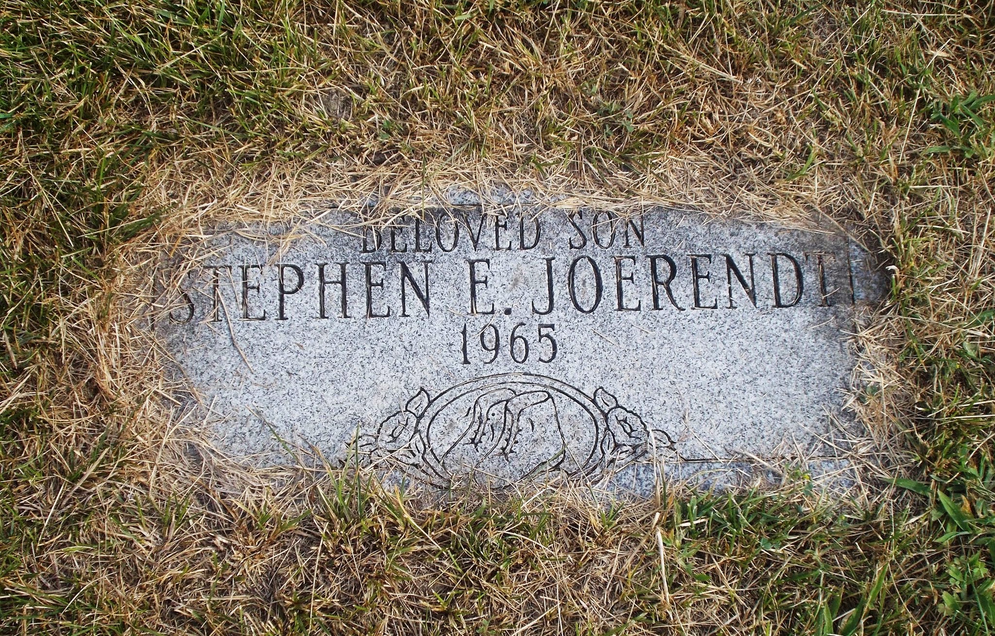 Stephen E Joerendt