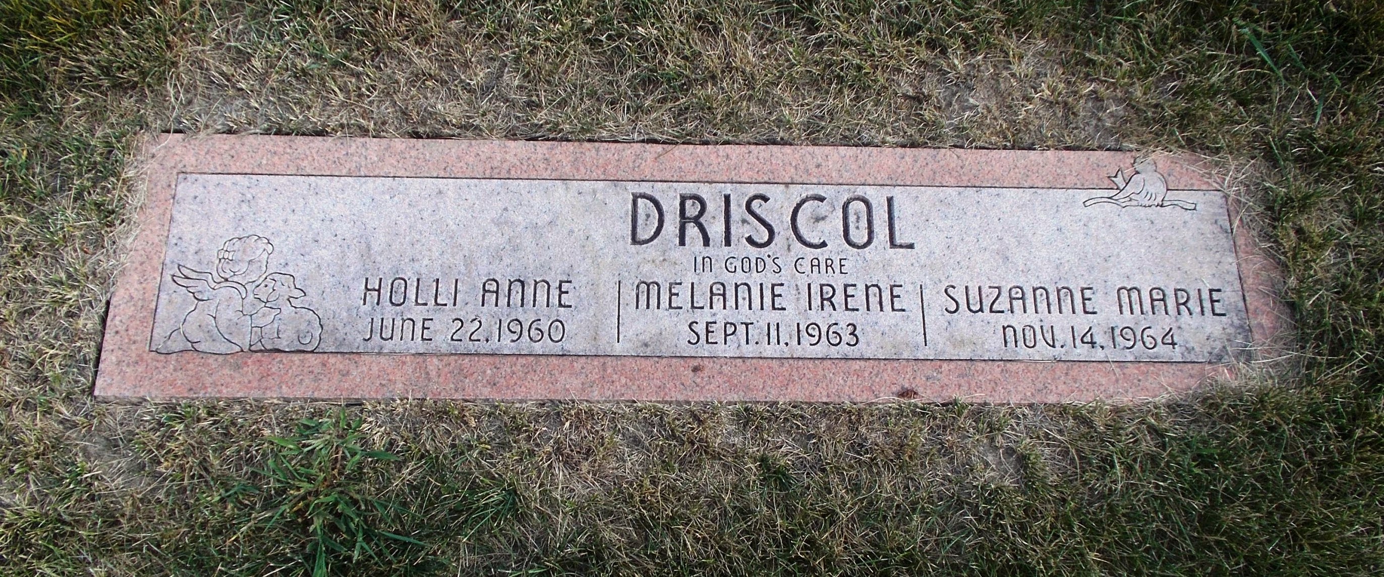 Suzanne Marie Driscol