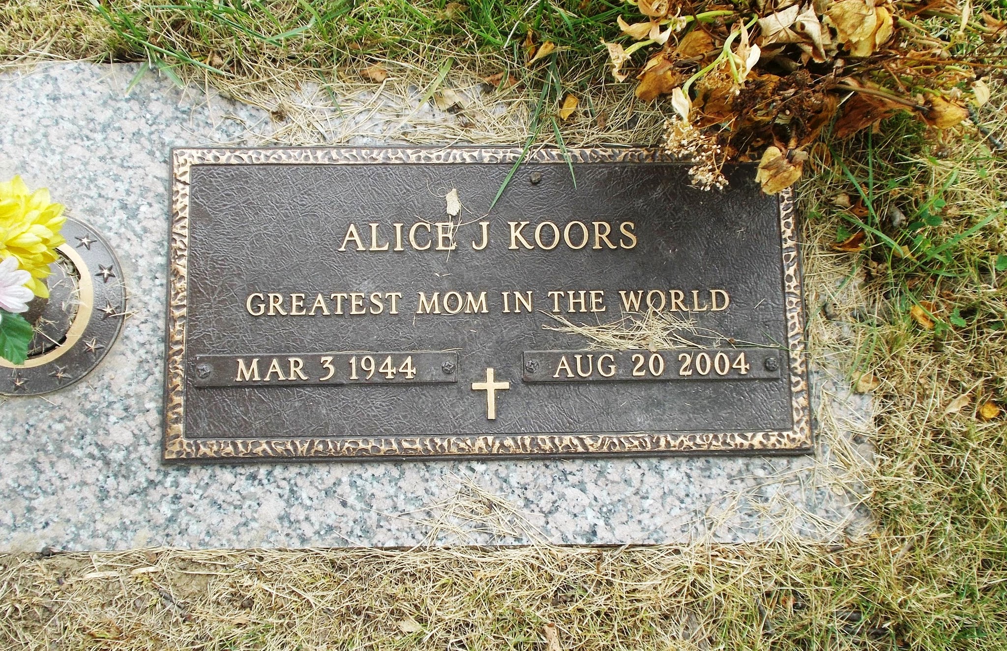 Alice J Koors
