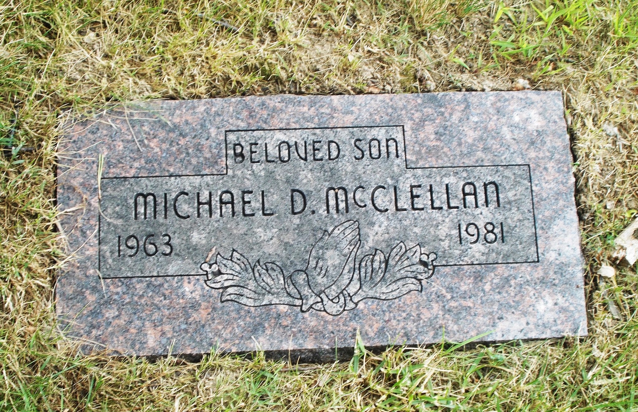 Michael D McClellan