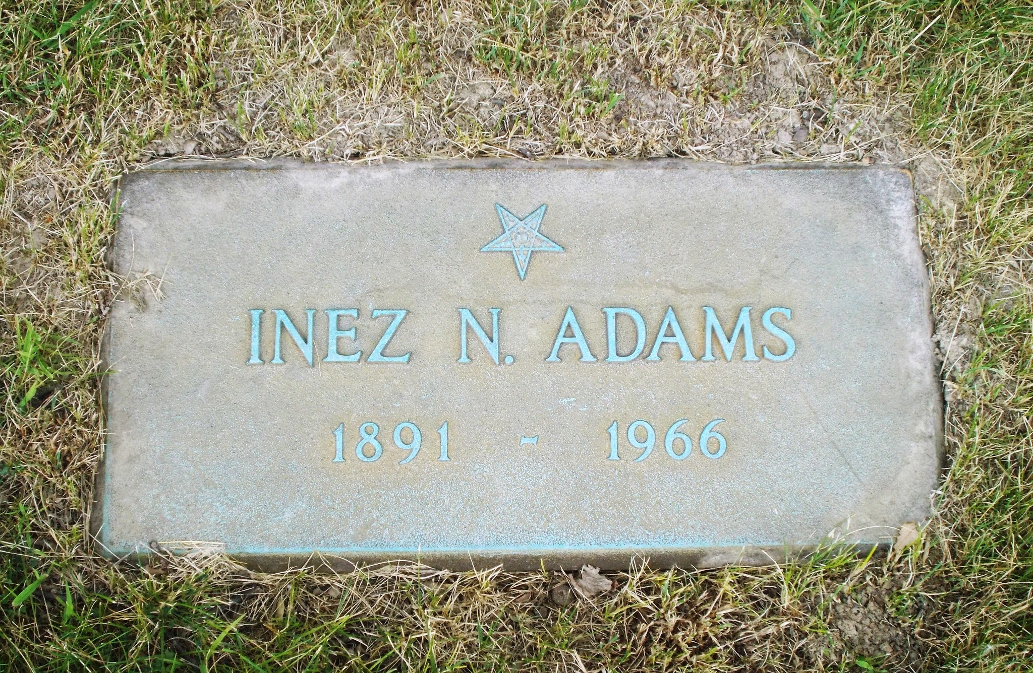 Inez N Adams