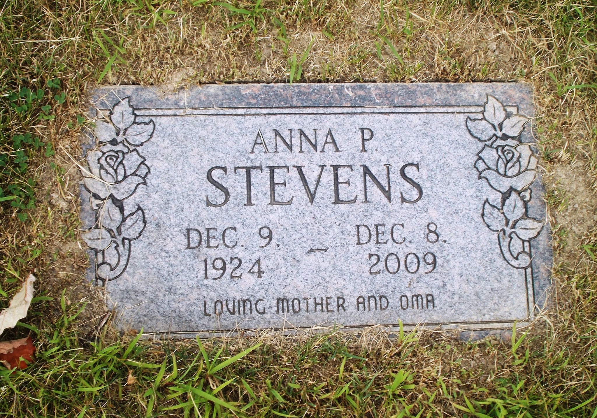 Anna P Stevens