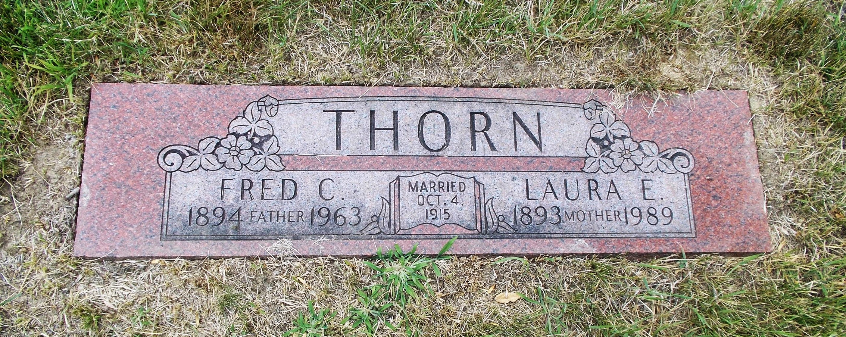 Laura E Thorn