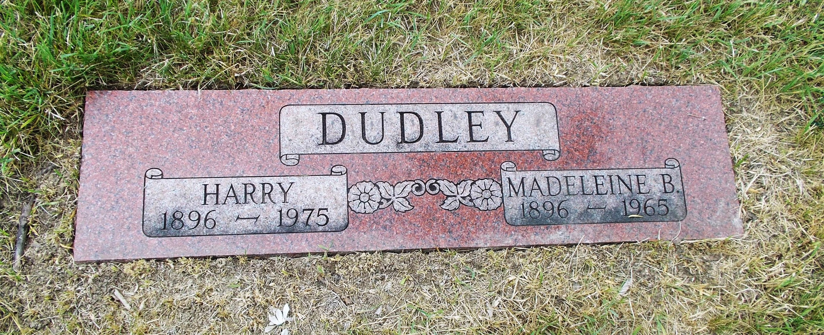 Harry Dudley