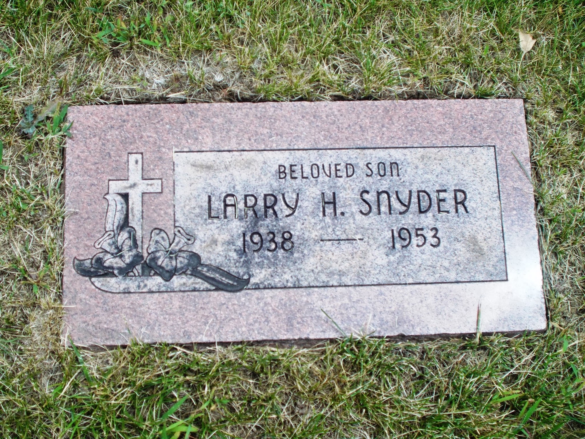 Larry H Snyder