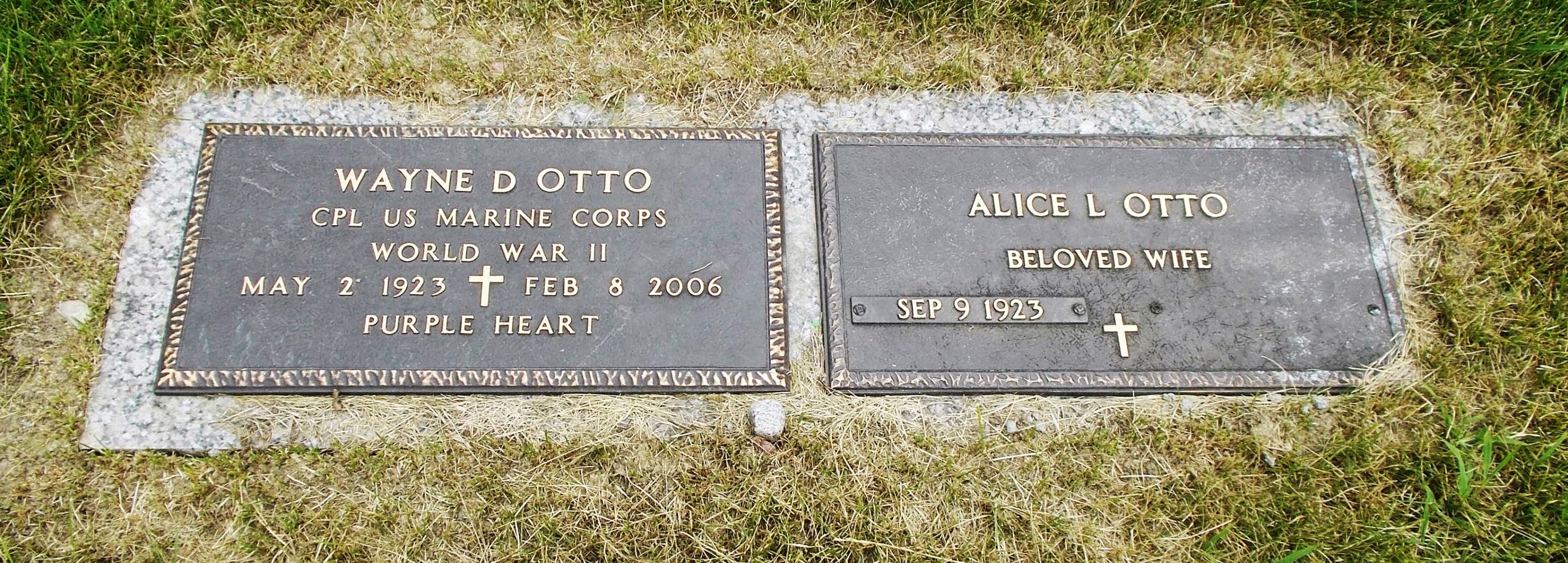 Alice L Otto