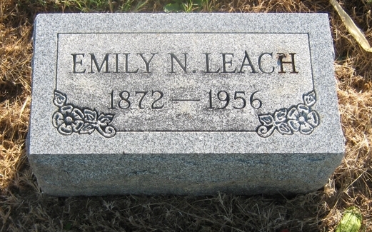 Emily N Leach