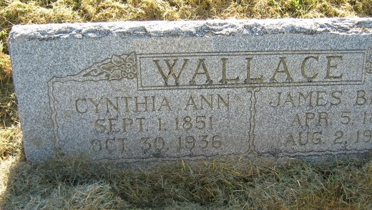 Cynthia Ann Wallace