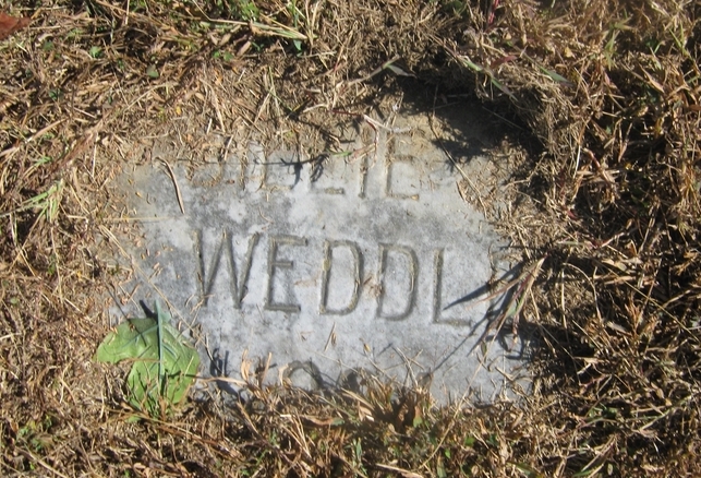 William M Weddle