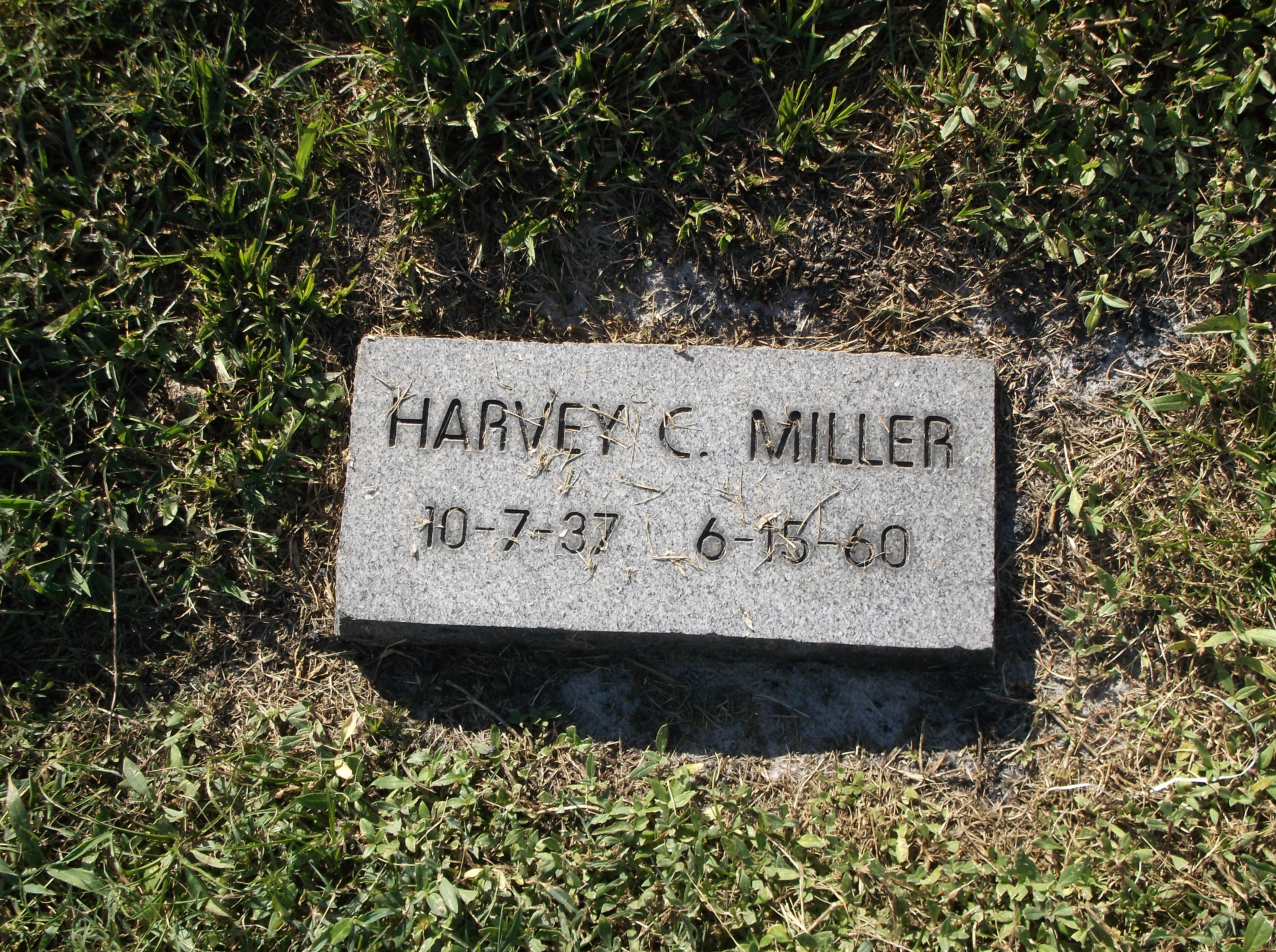 Harvey C Miller