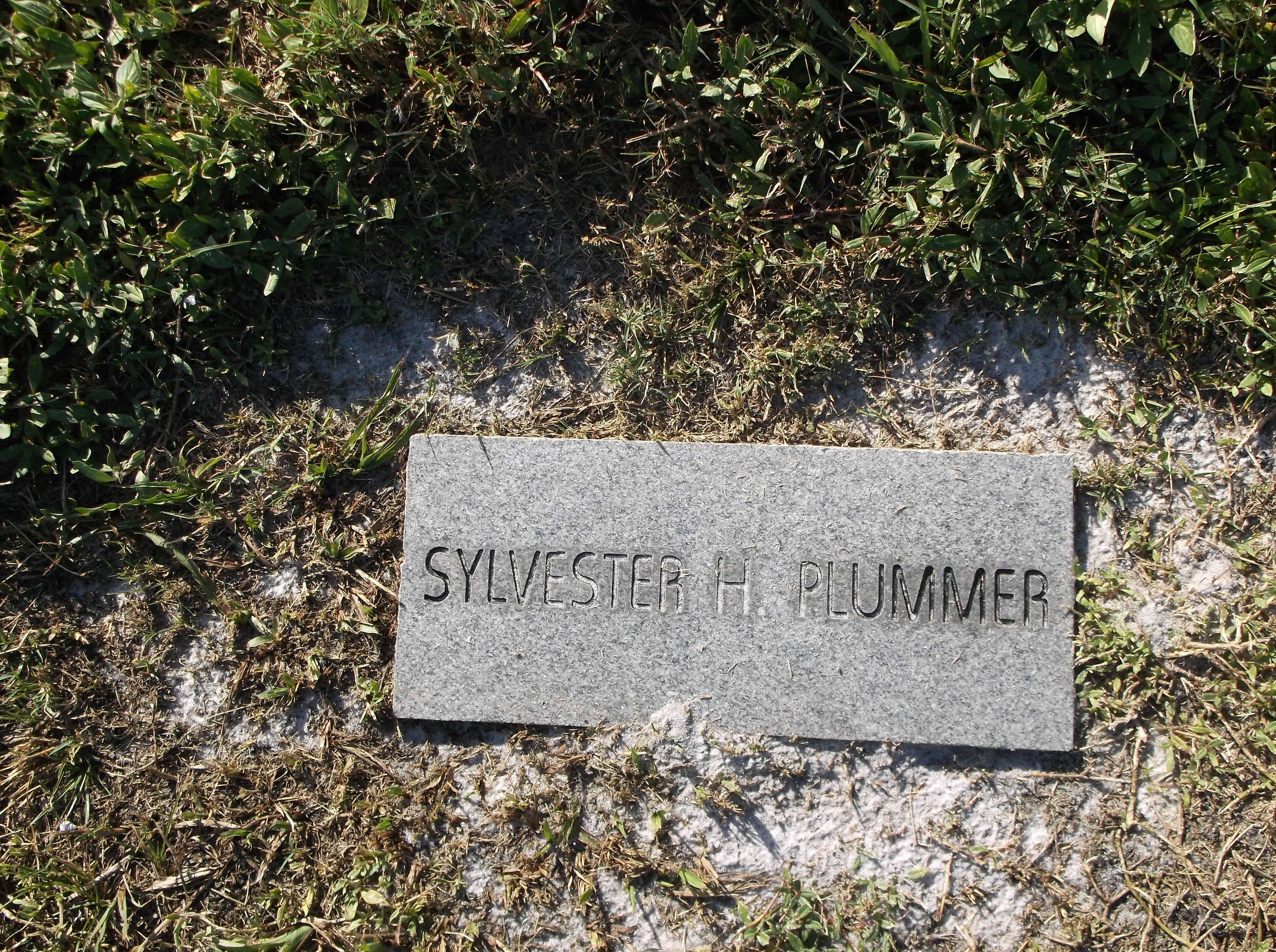 Sylvester H Plummer