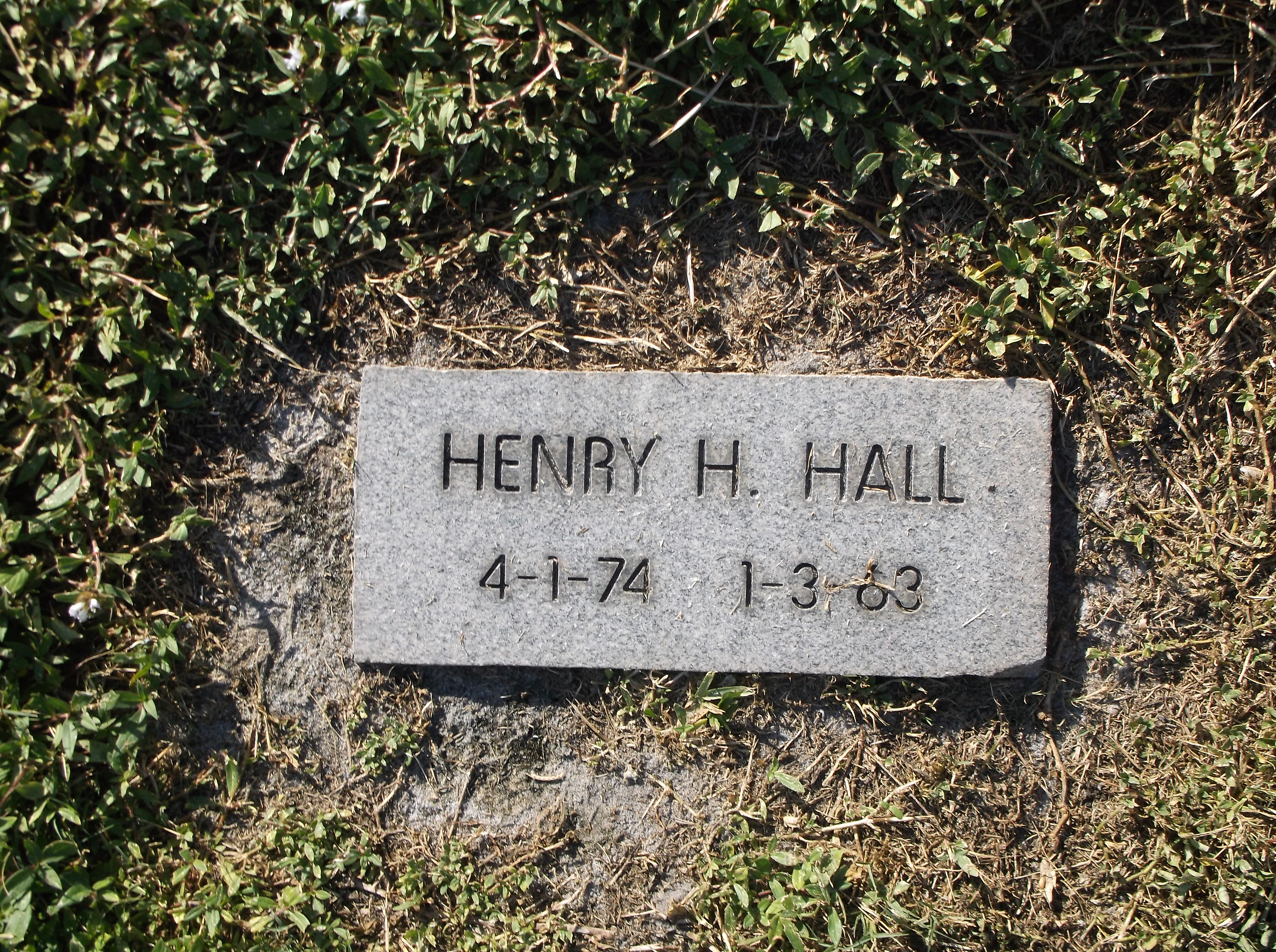 Henry H Hall