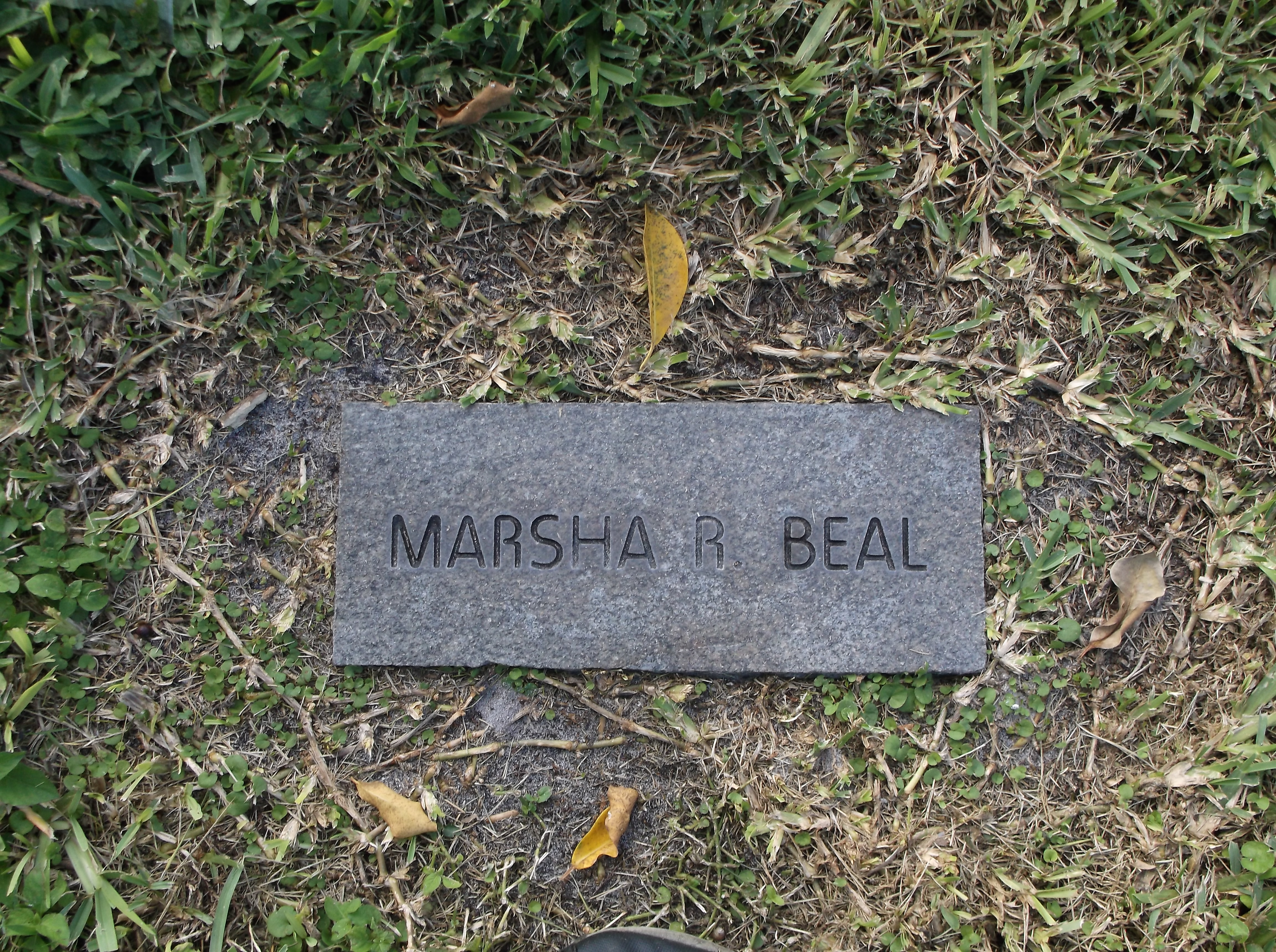 Marsha R Beal