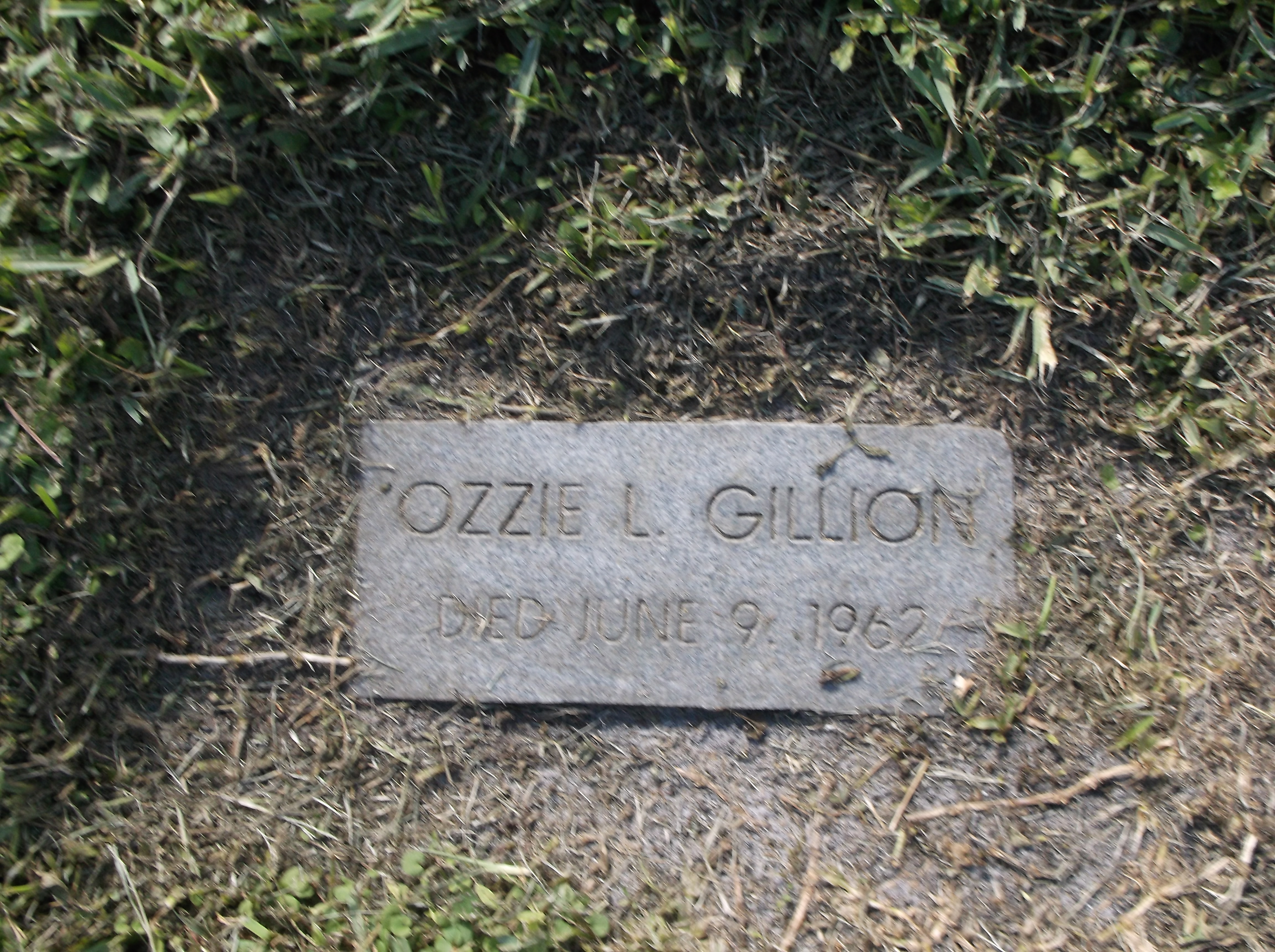 Ozzie L Gillion