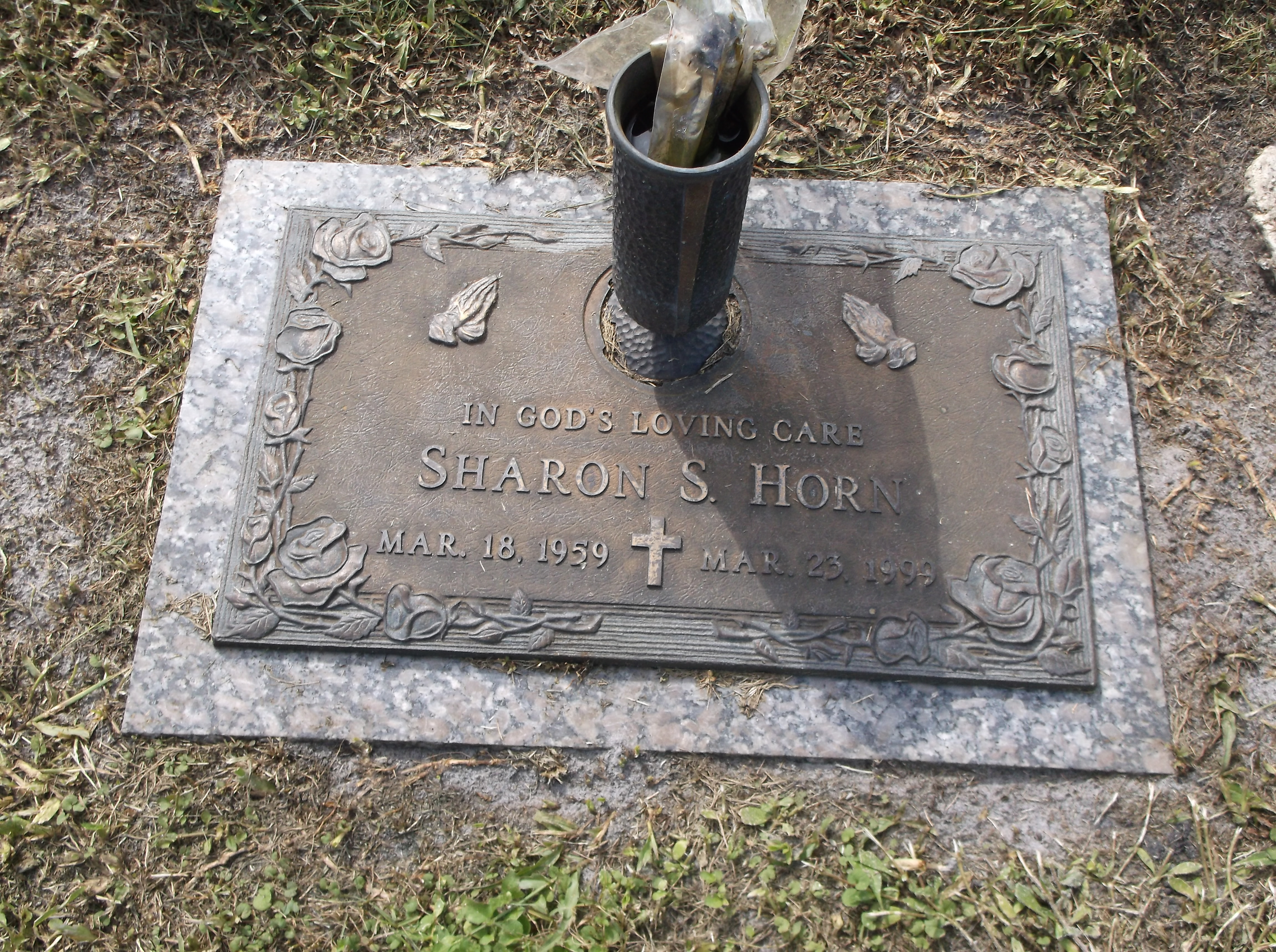 Sharon S Horn