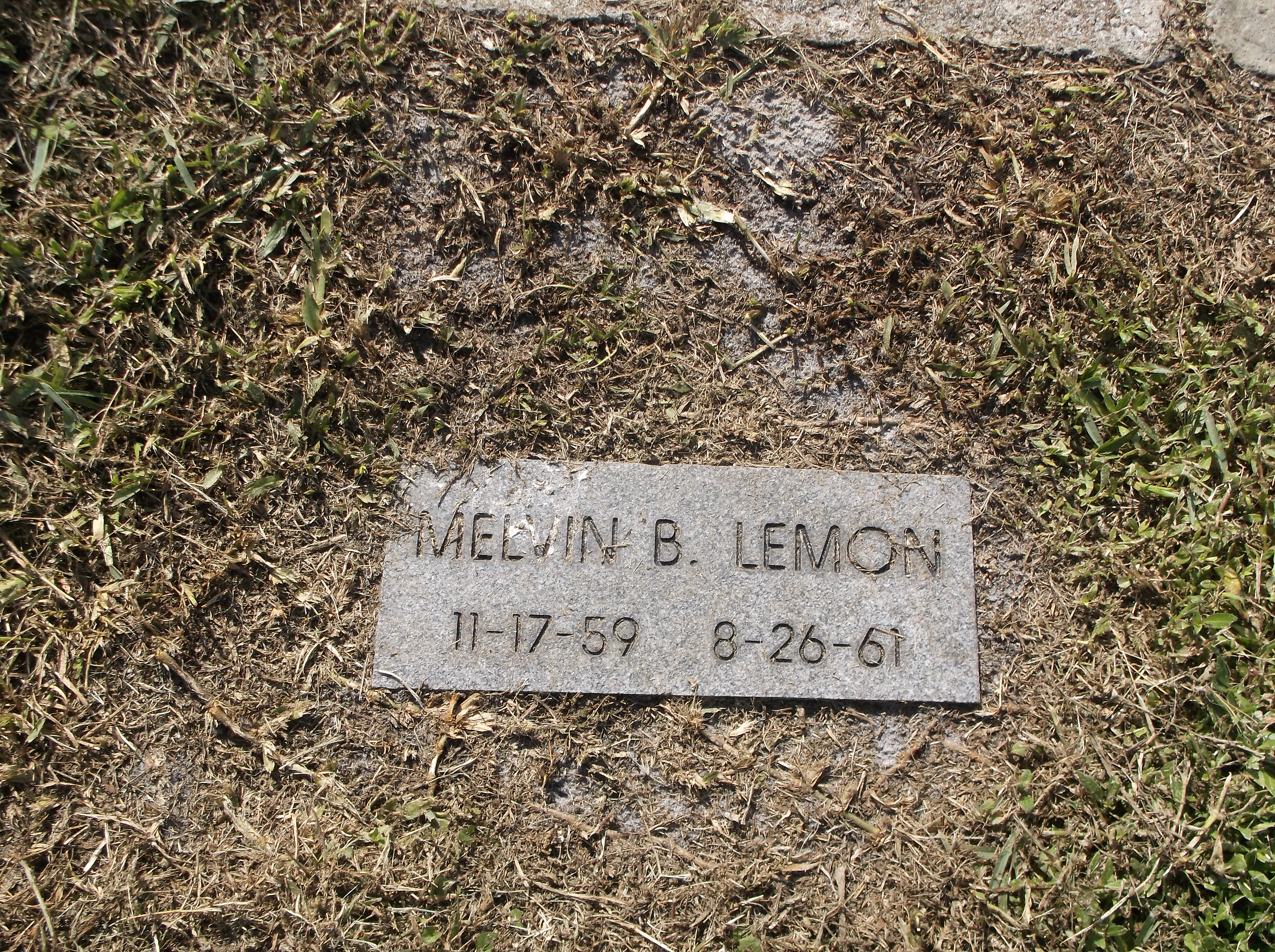 Melvin B Lemon