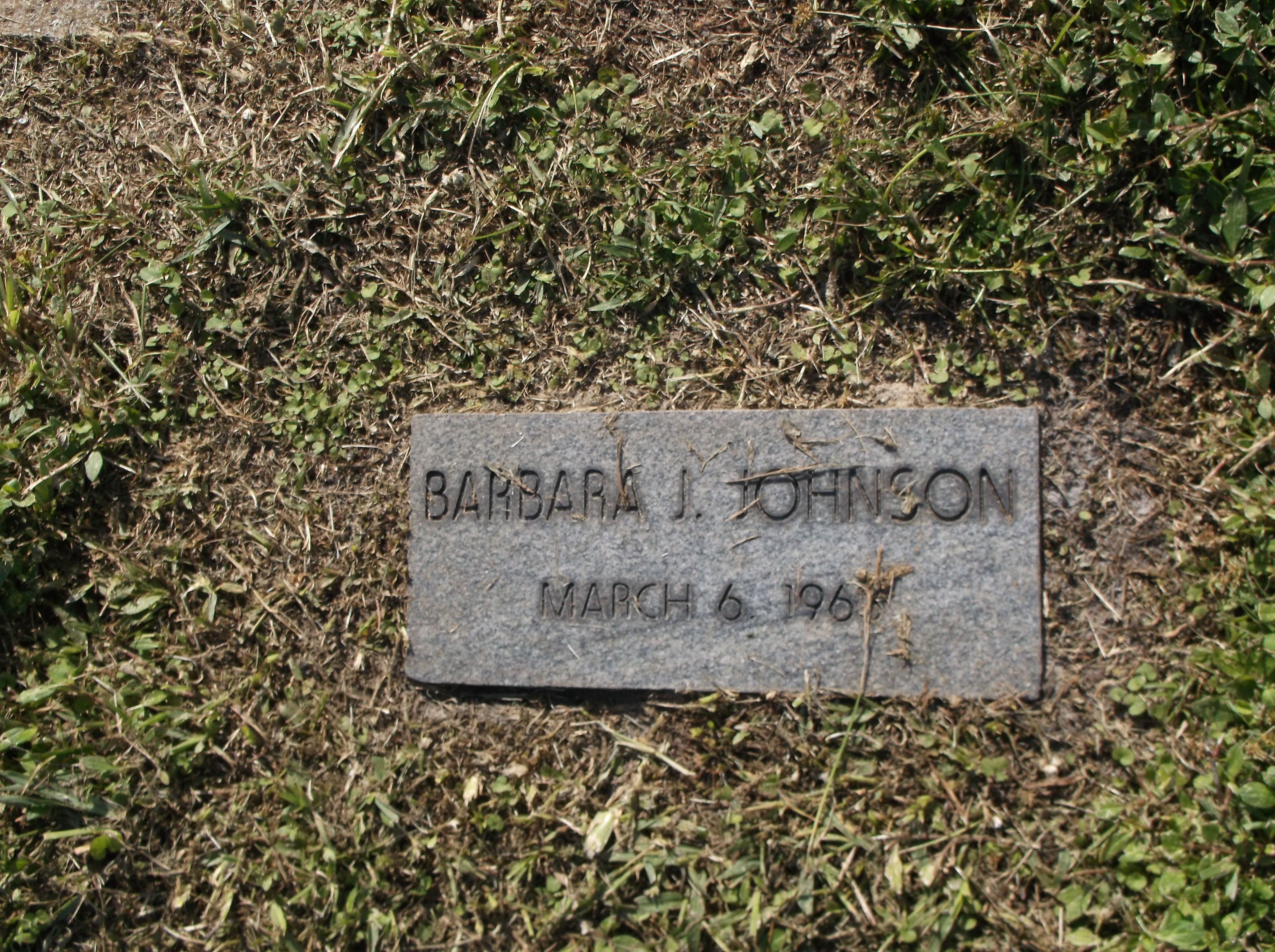 Barbara J Johnson