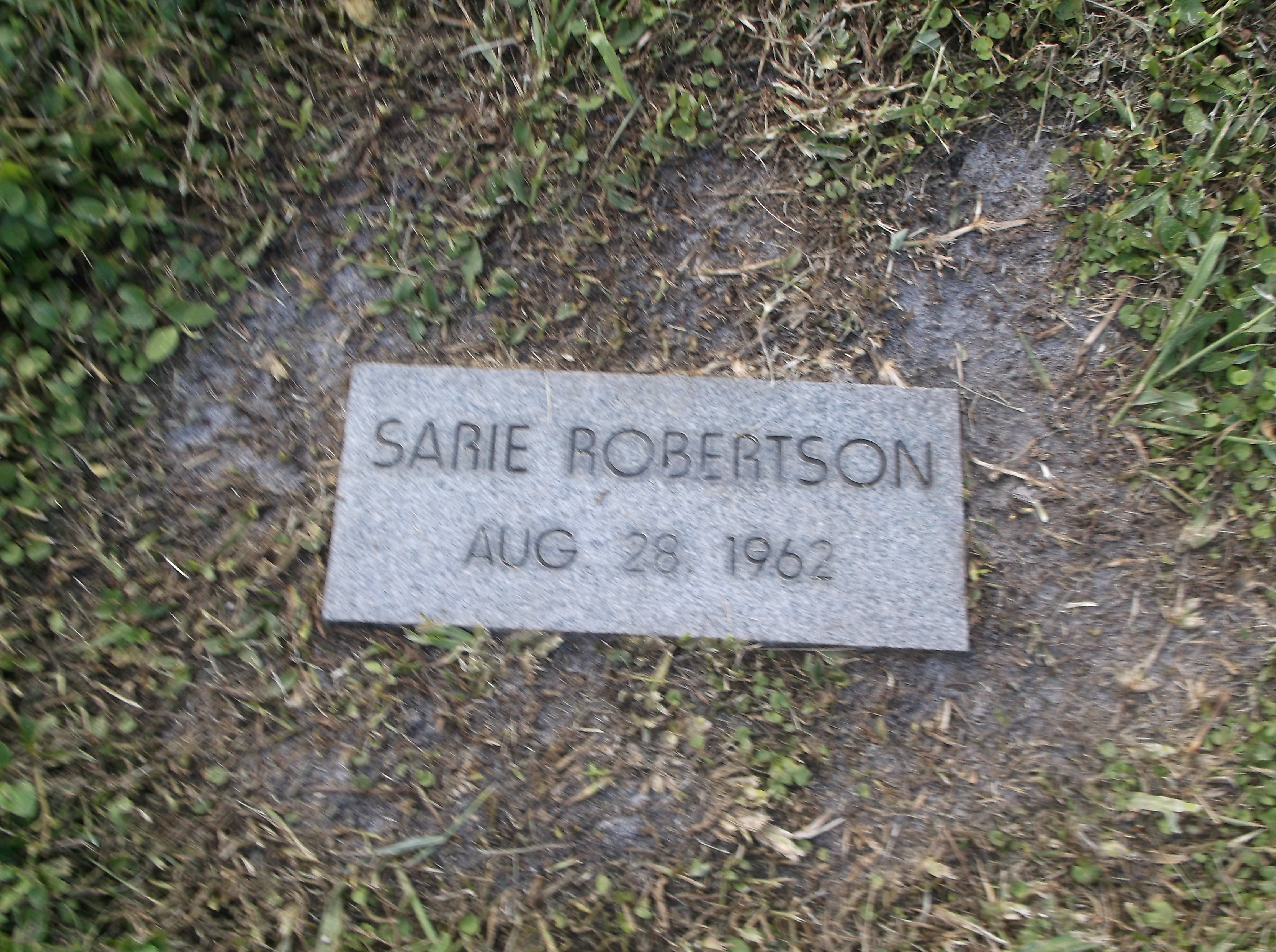 Sarie Robertson