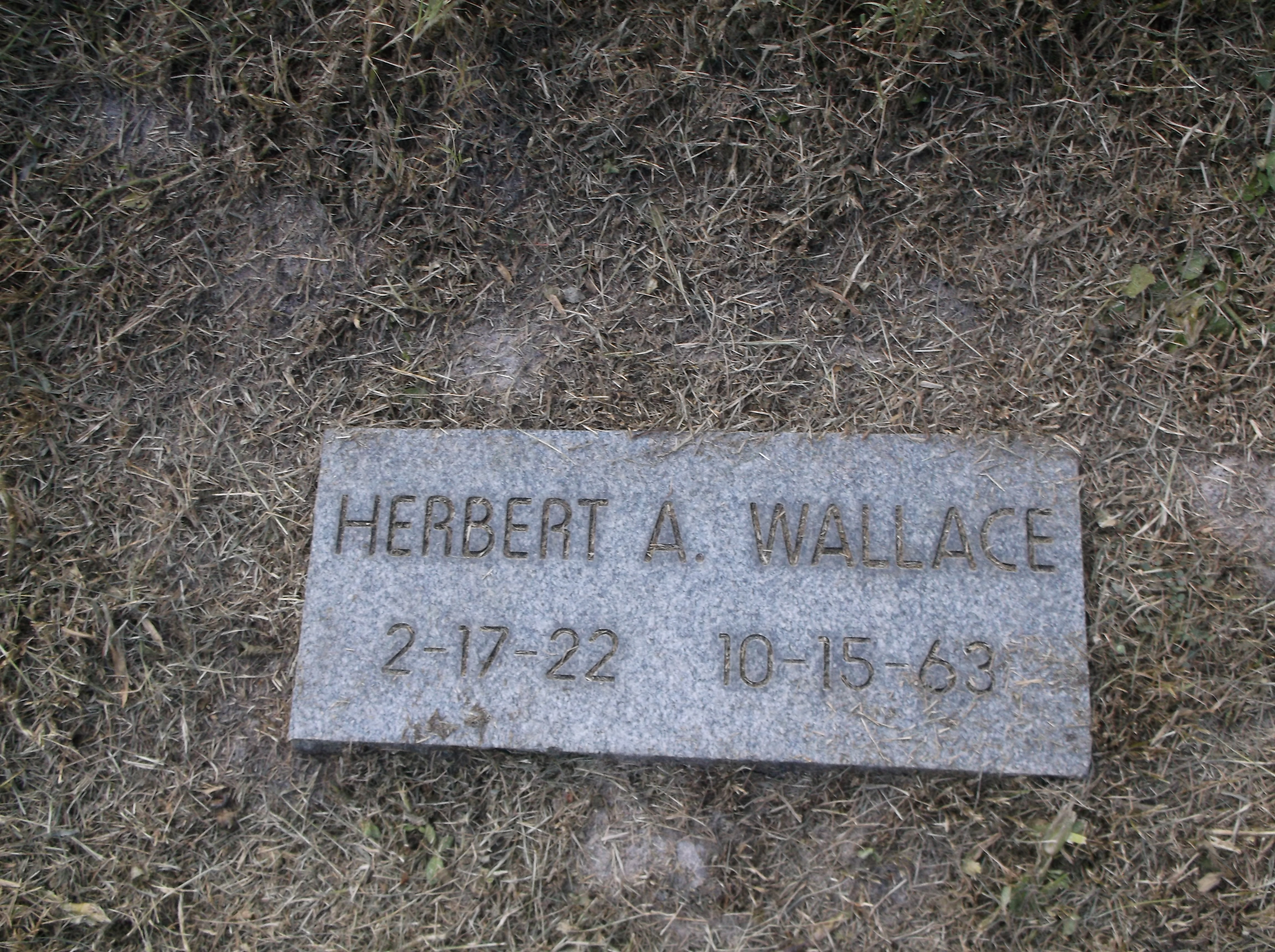 Herbert A Wallace