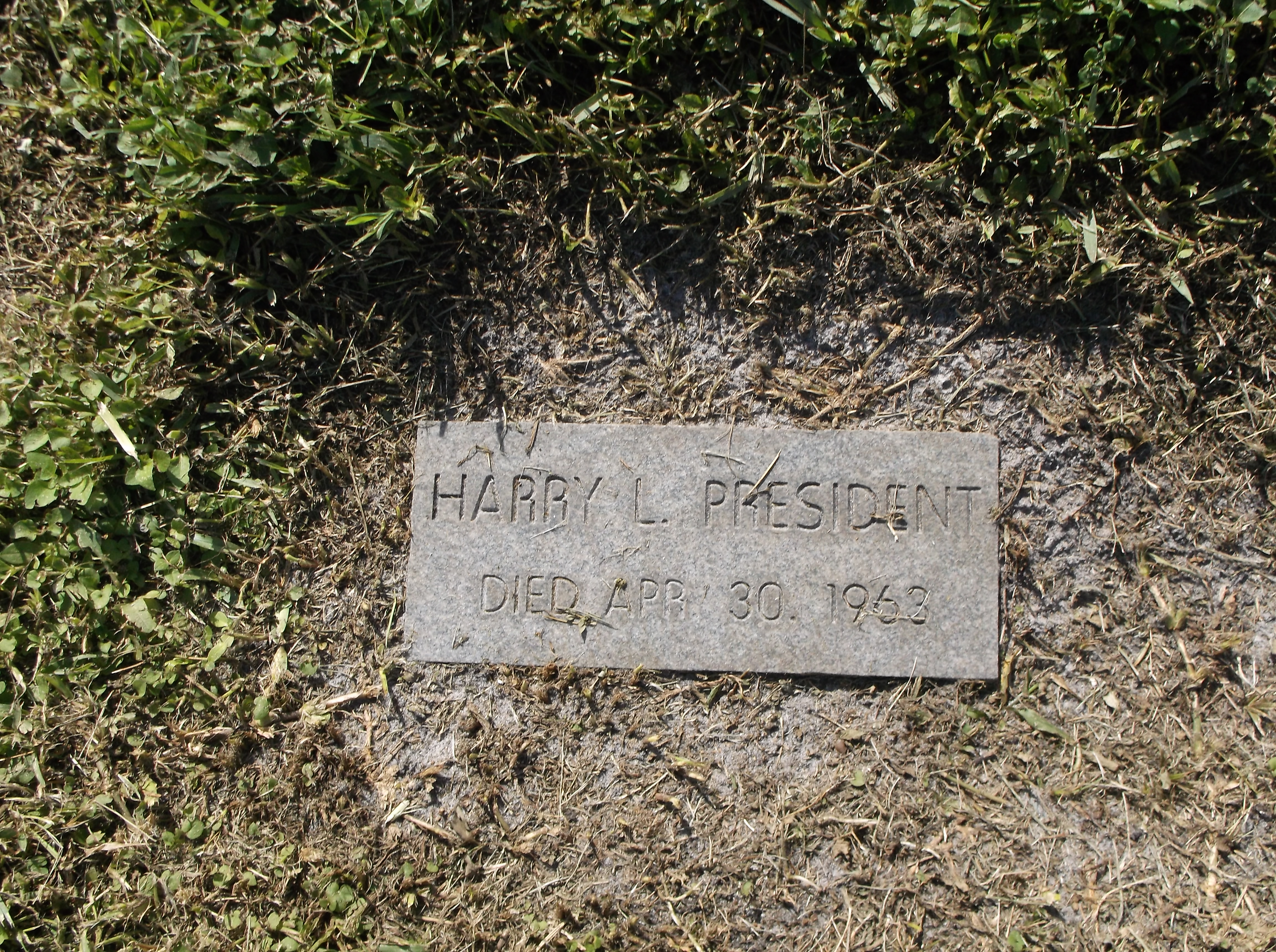Harry L President