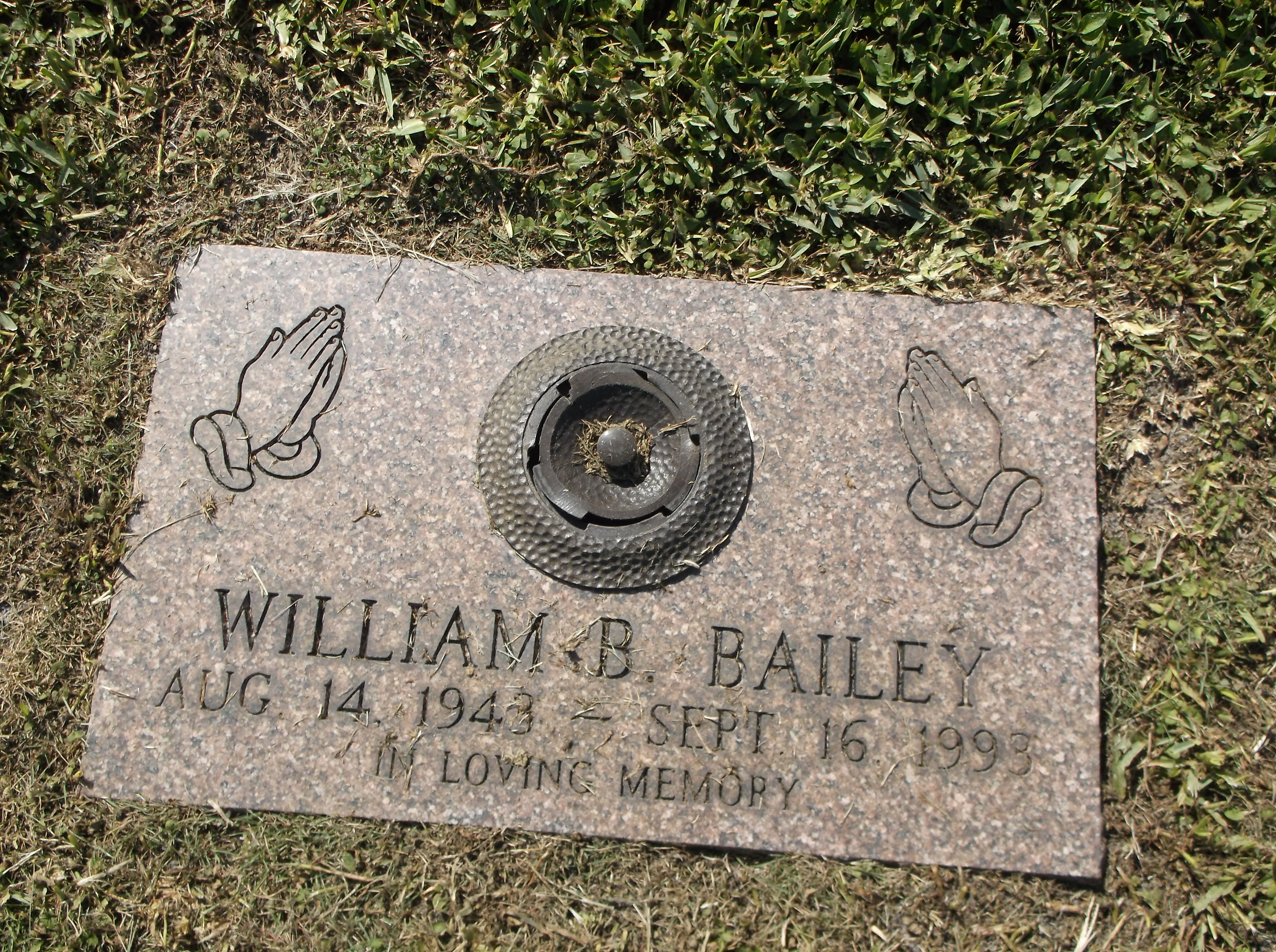 William B Bailey