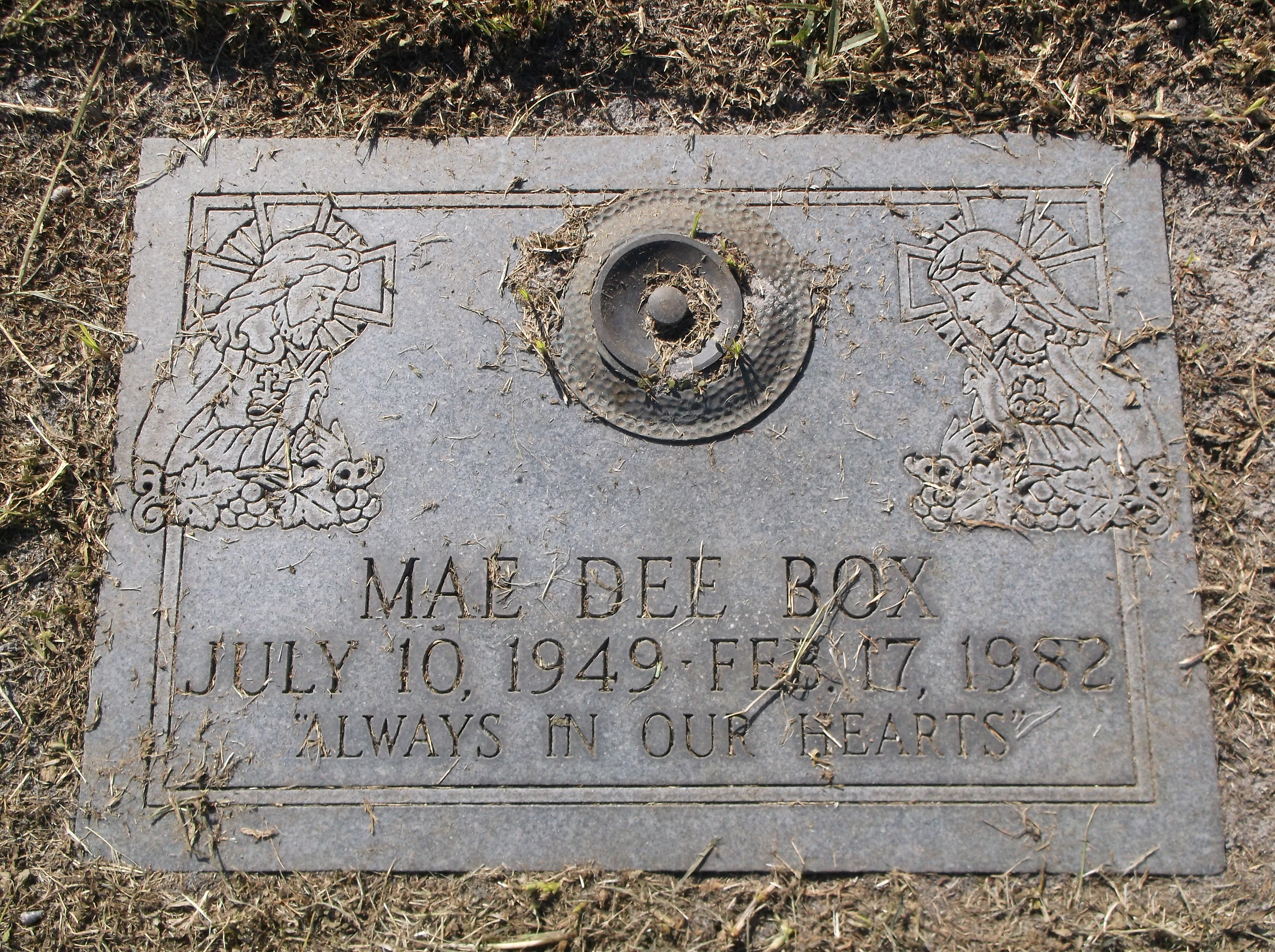 Mae Dee Box
